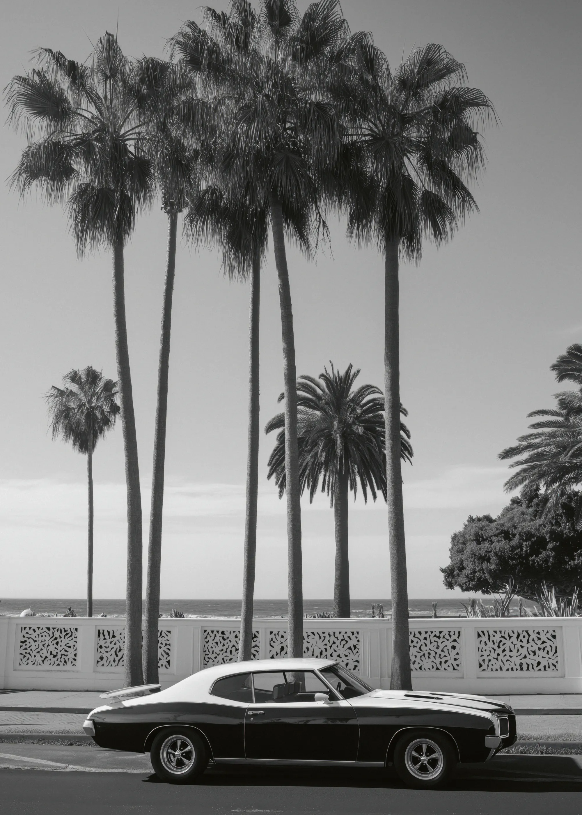 Conduciendo por California Póster 0