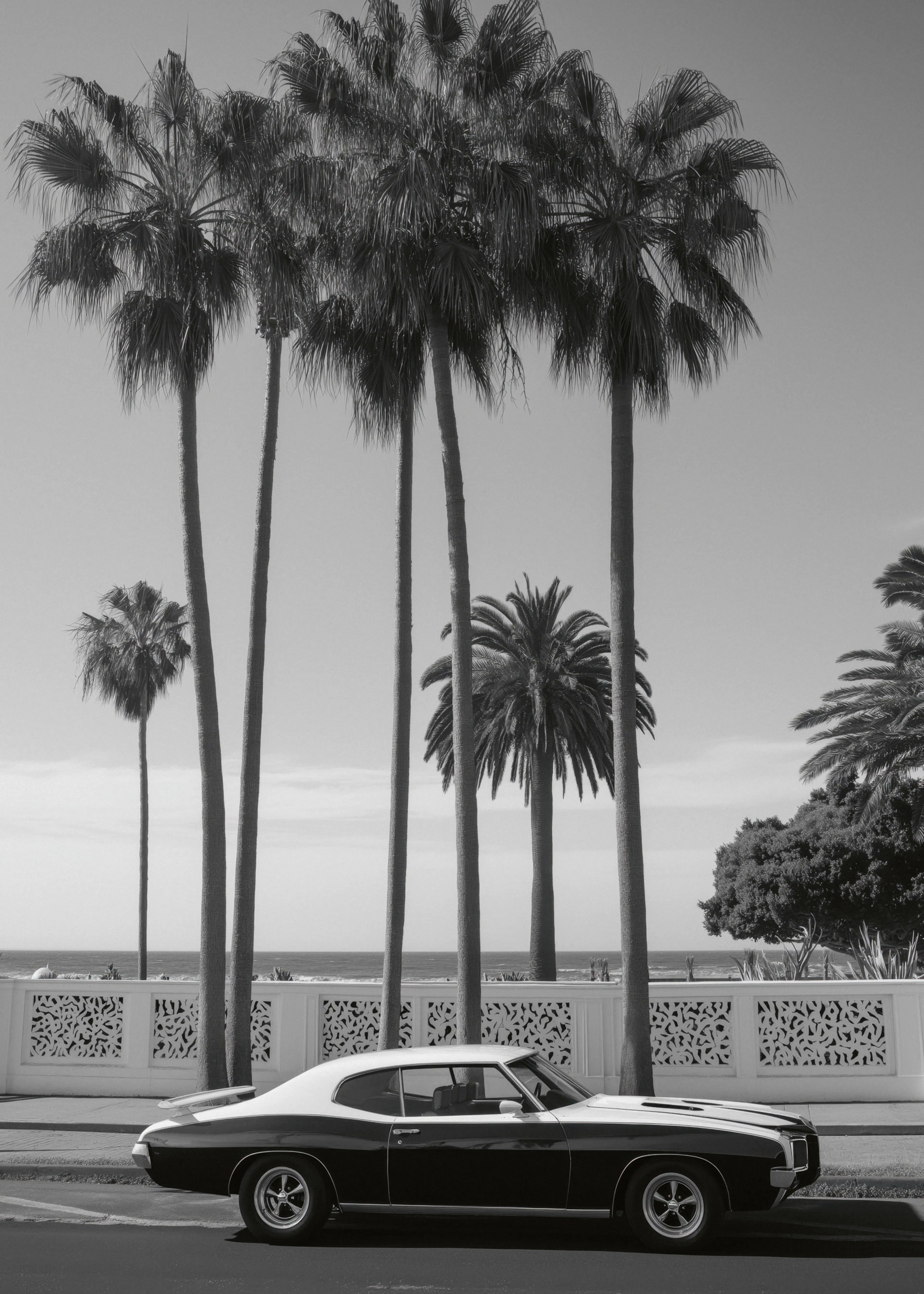 California Cruising Poster 0