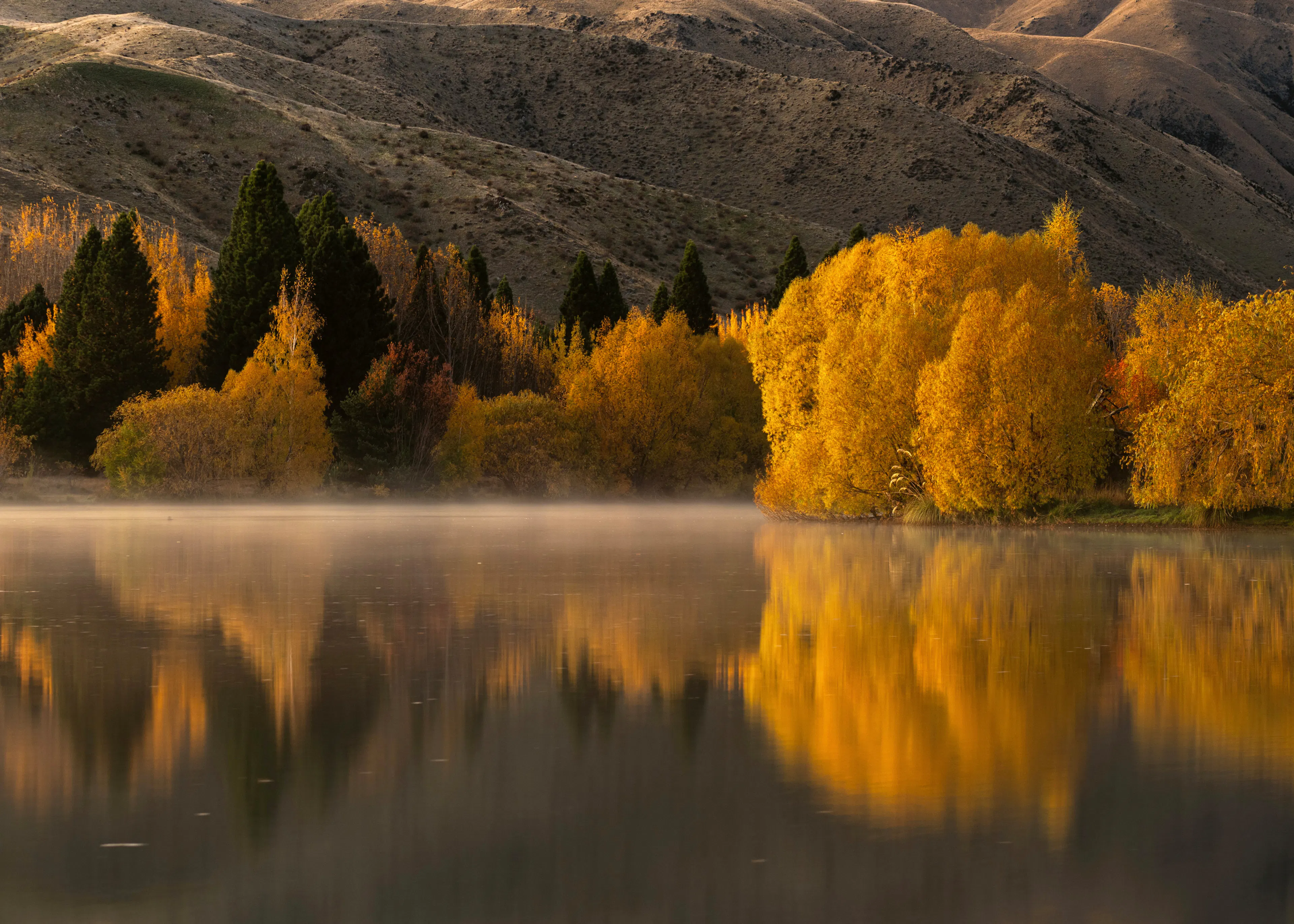 Reflets d'Automne Poster 0