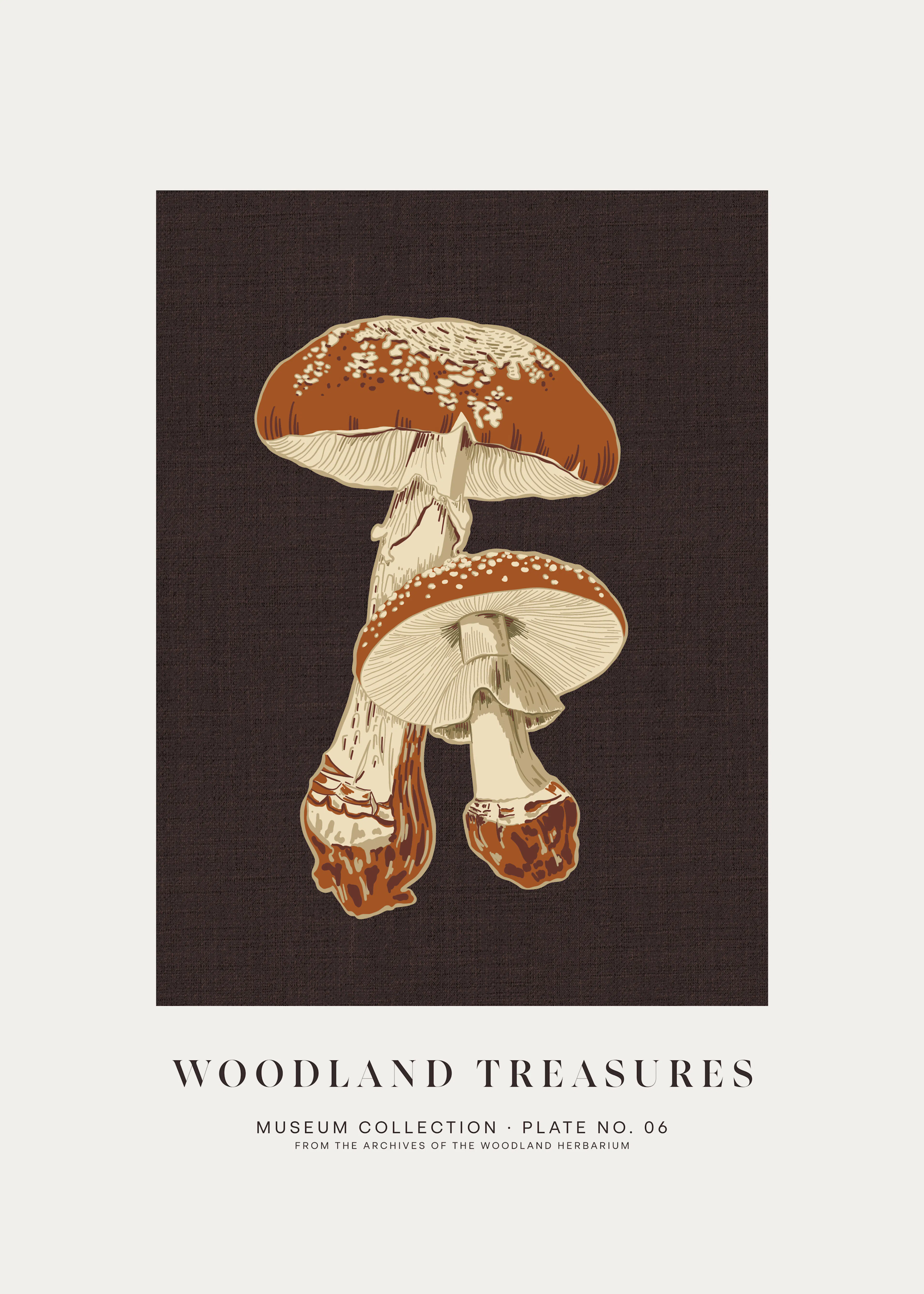 Brown Woodland Treasures Poster 0