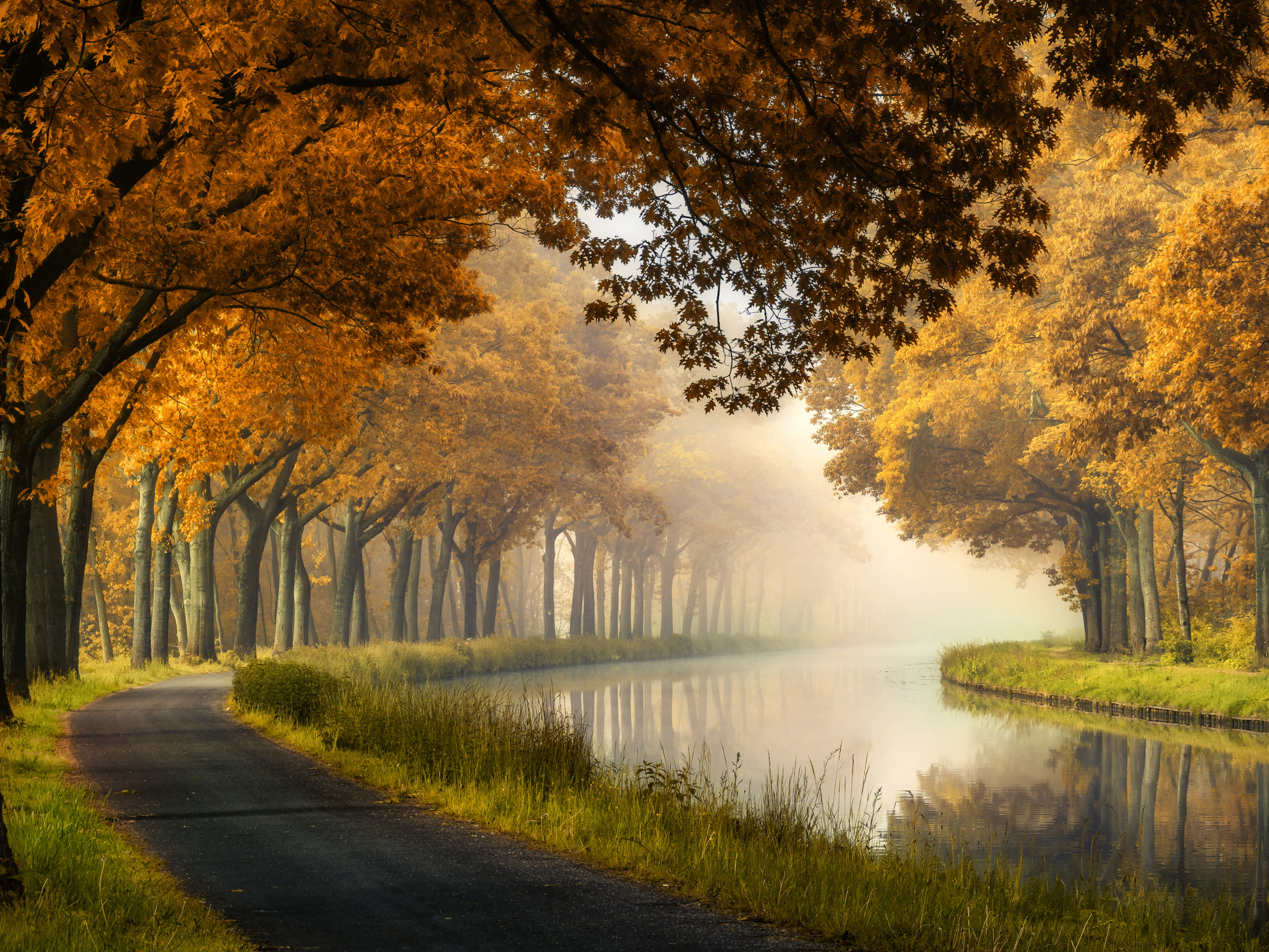 Amber Autumn Serenity Poster