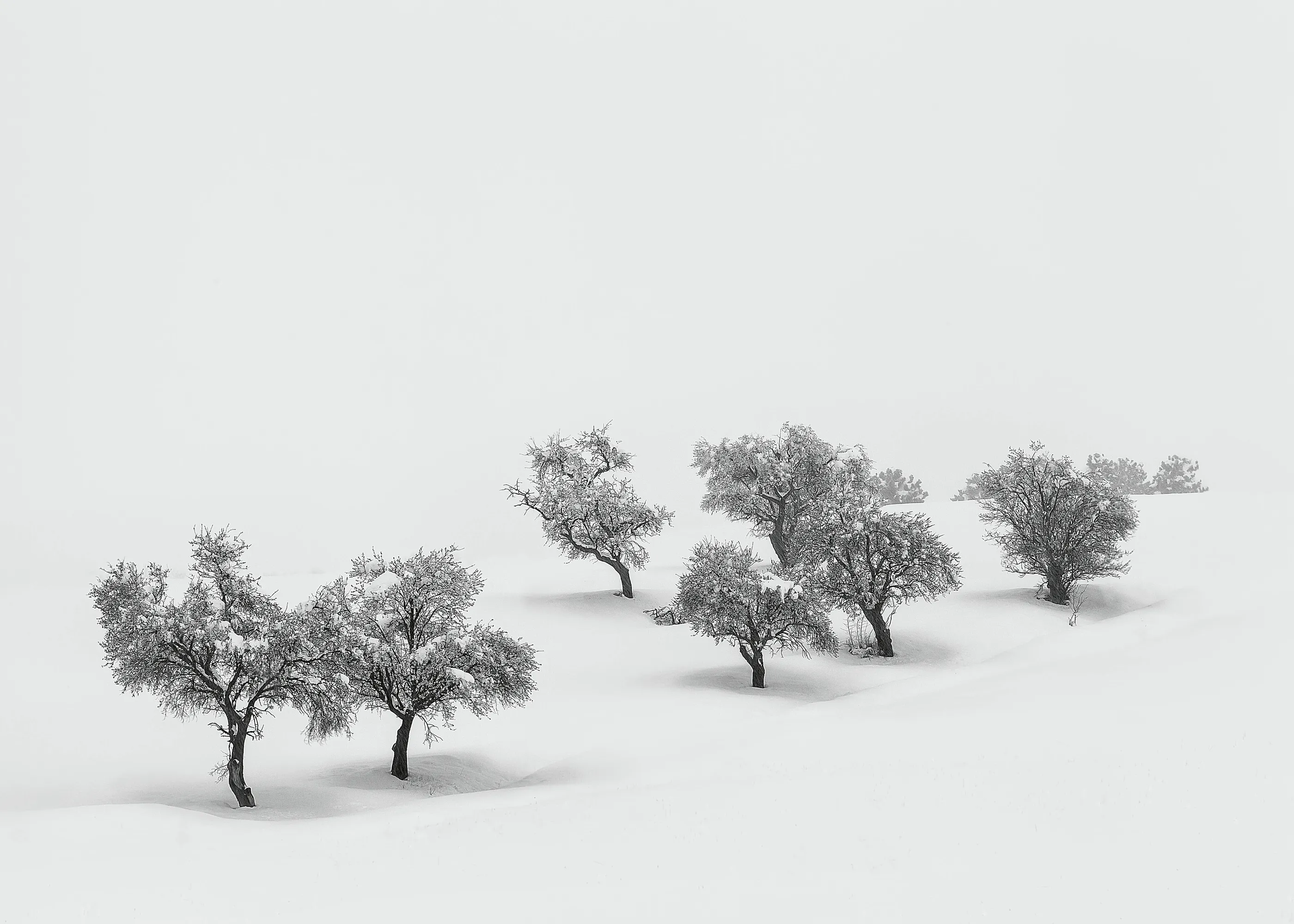 Vinter Ensomhet Plakat 0