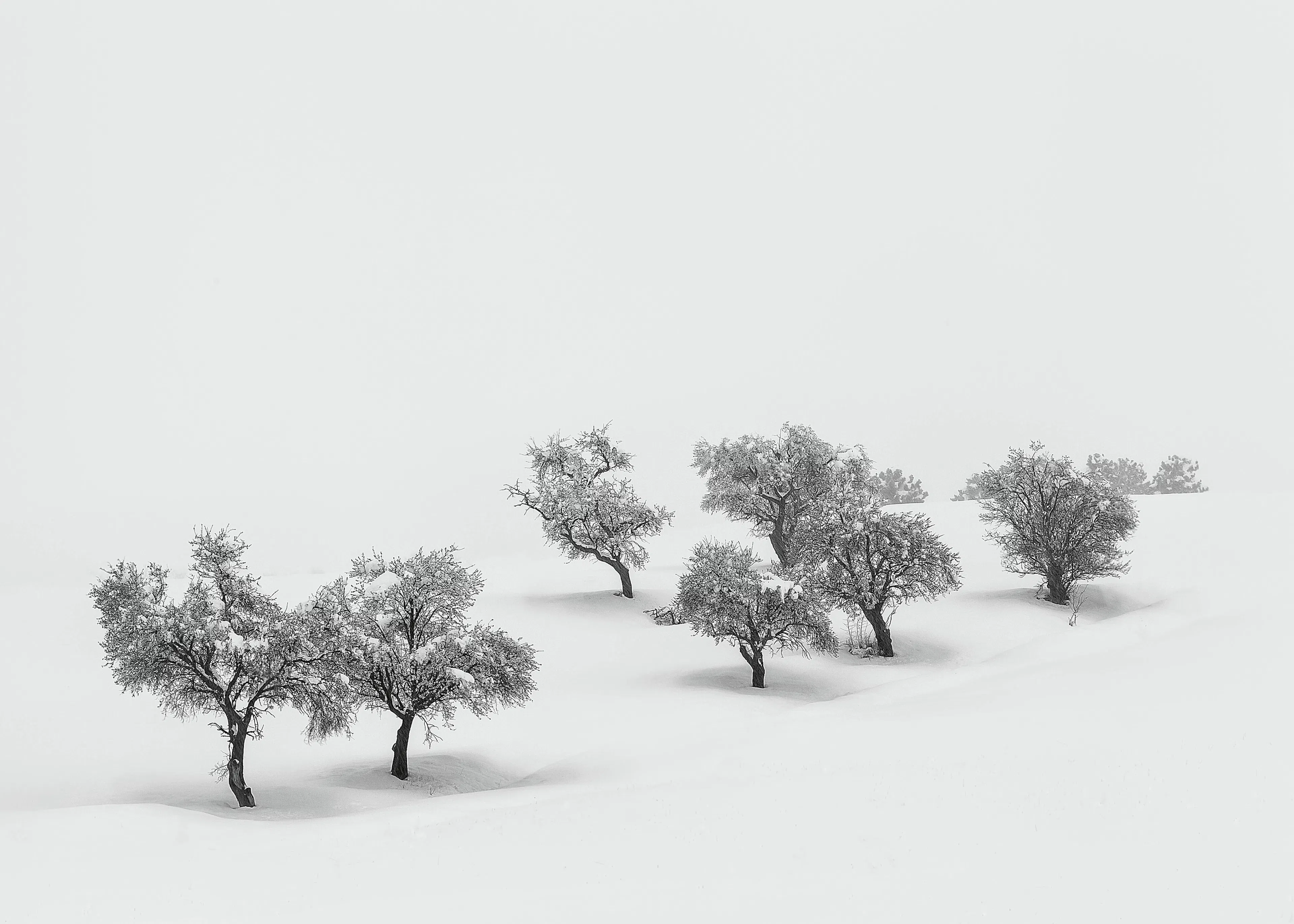 Winter Solitude Poster 0