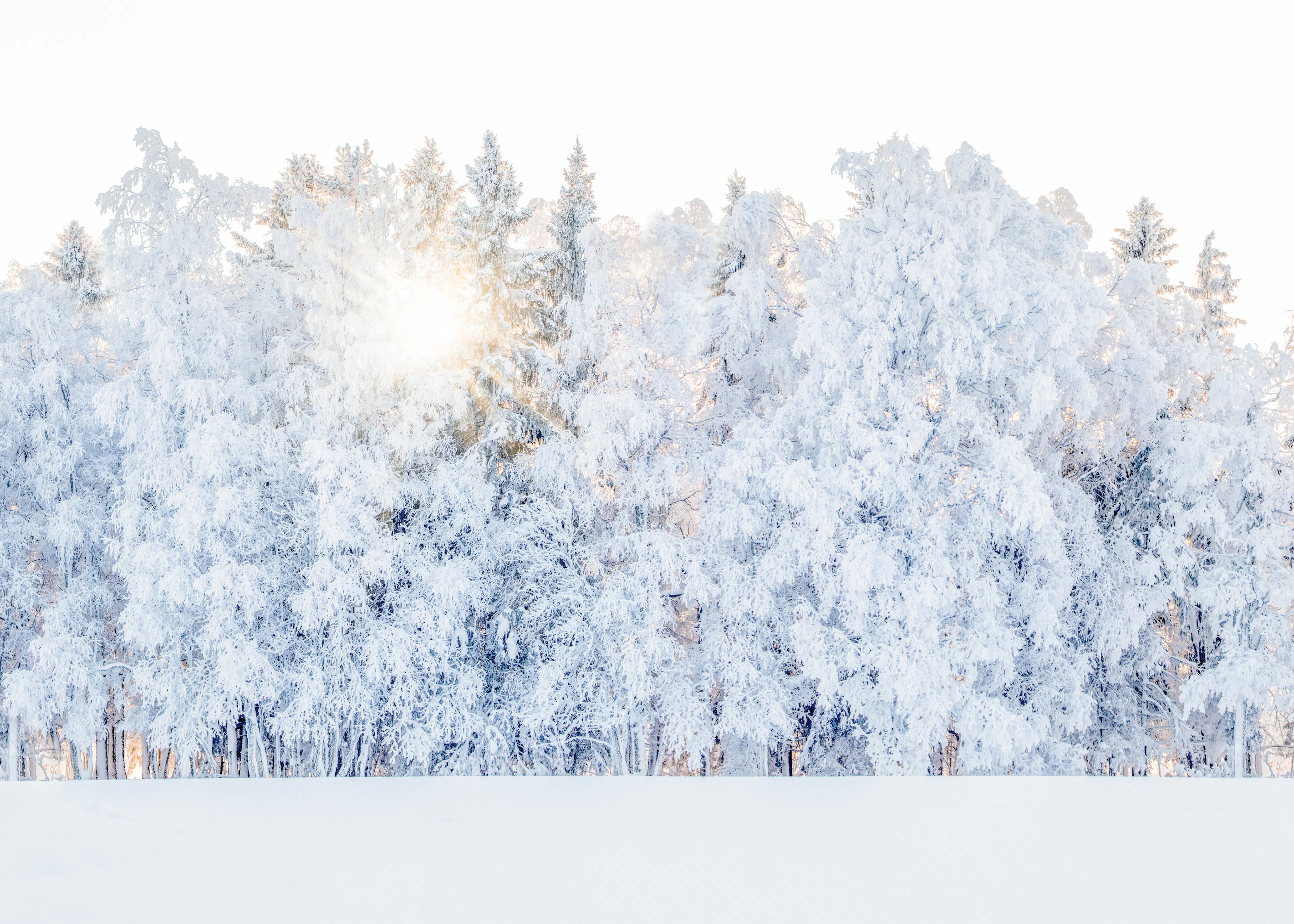 Icy Winter Serenity Poster 0