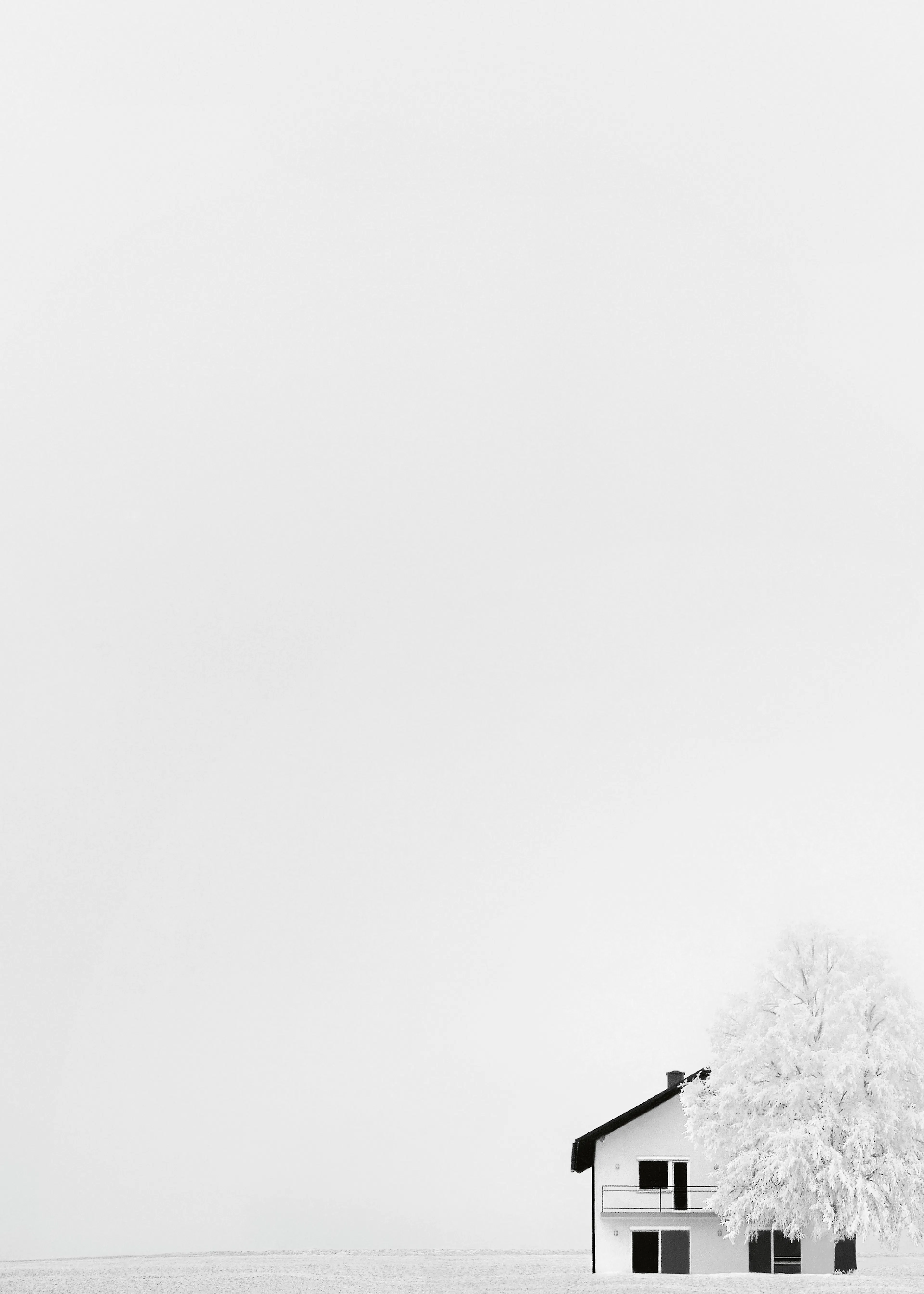Soft White Winter Solitude Poster 0