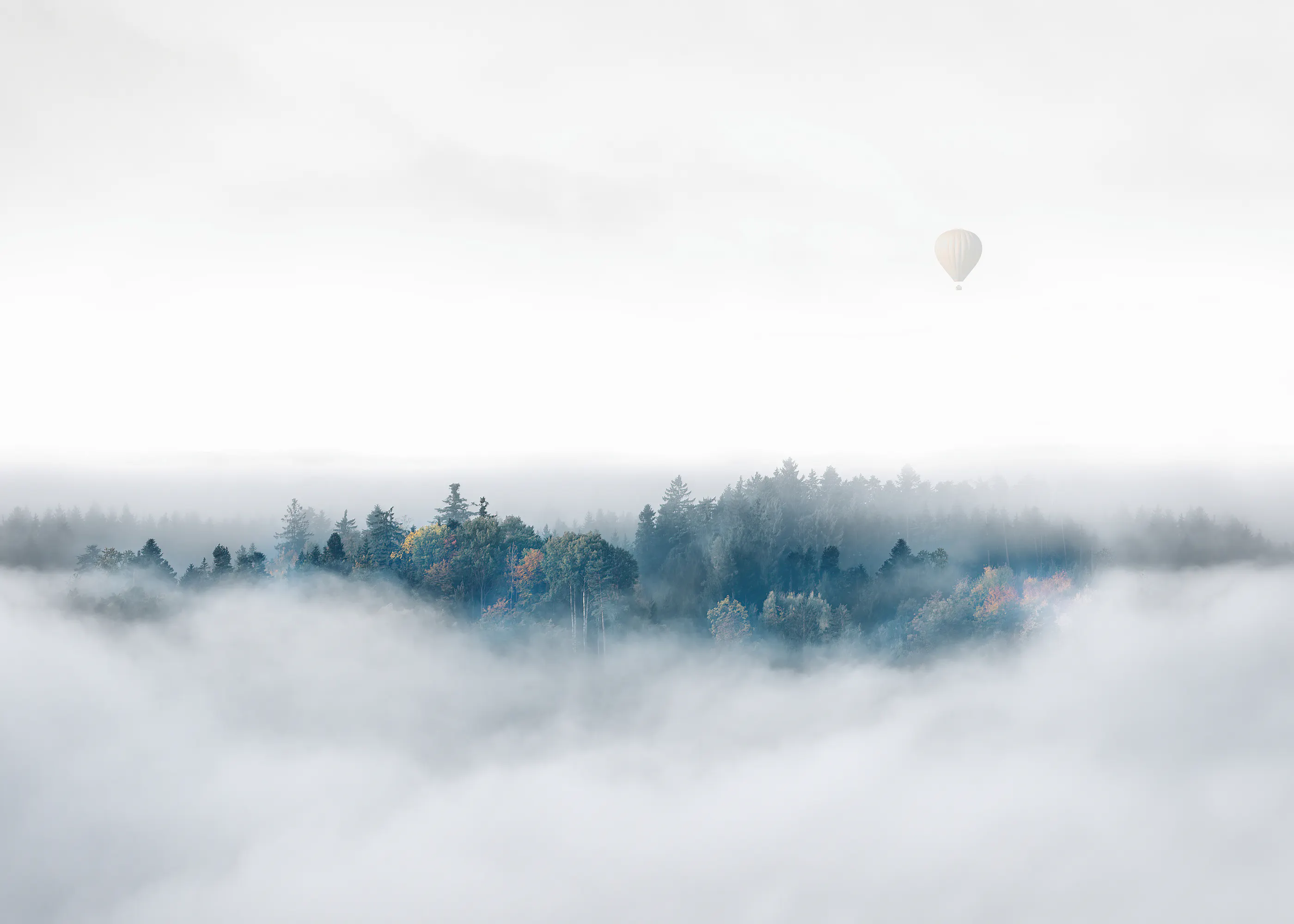 Brume Mystique Poster 0