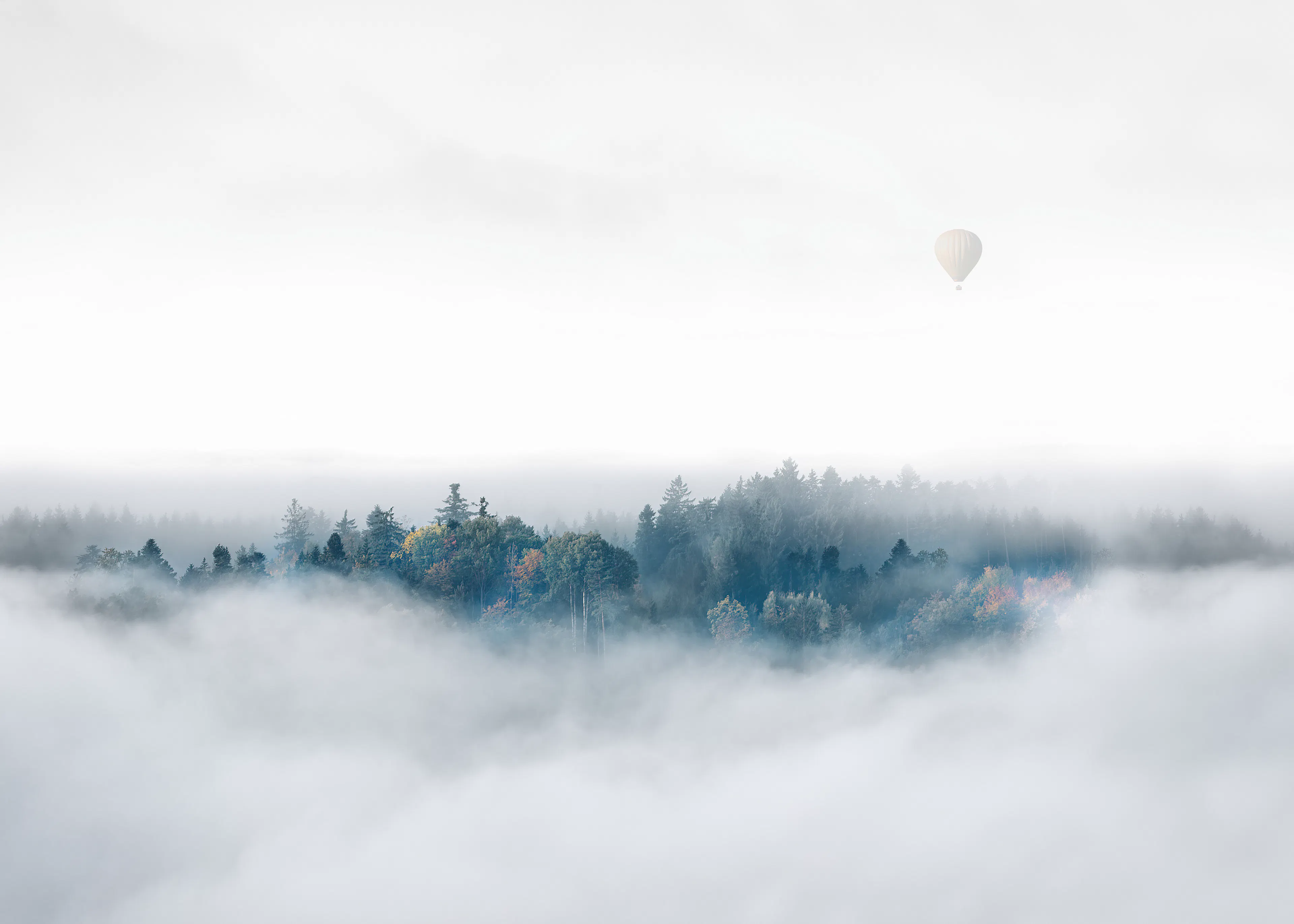 Mystic Fog Poster 0
