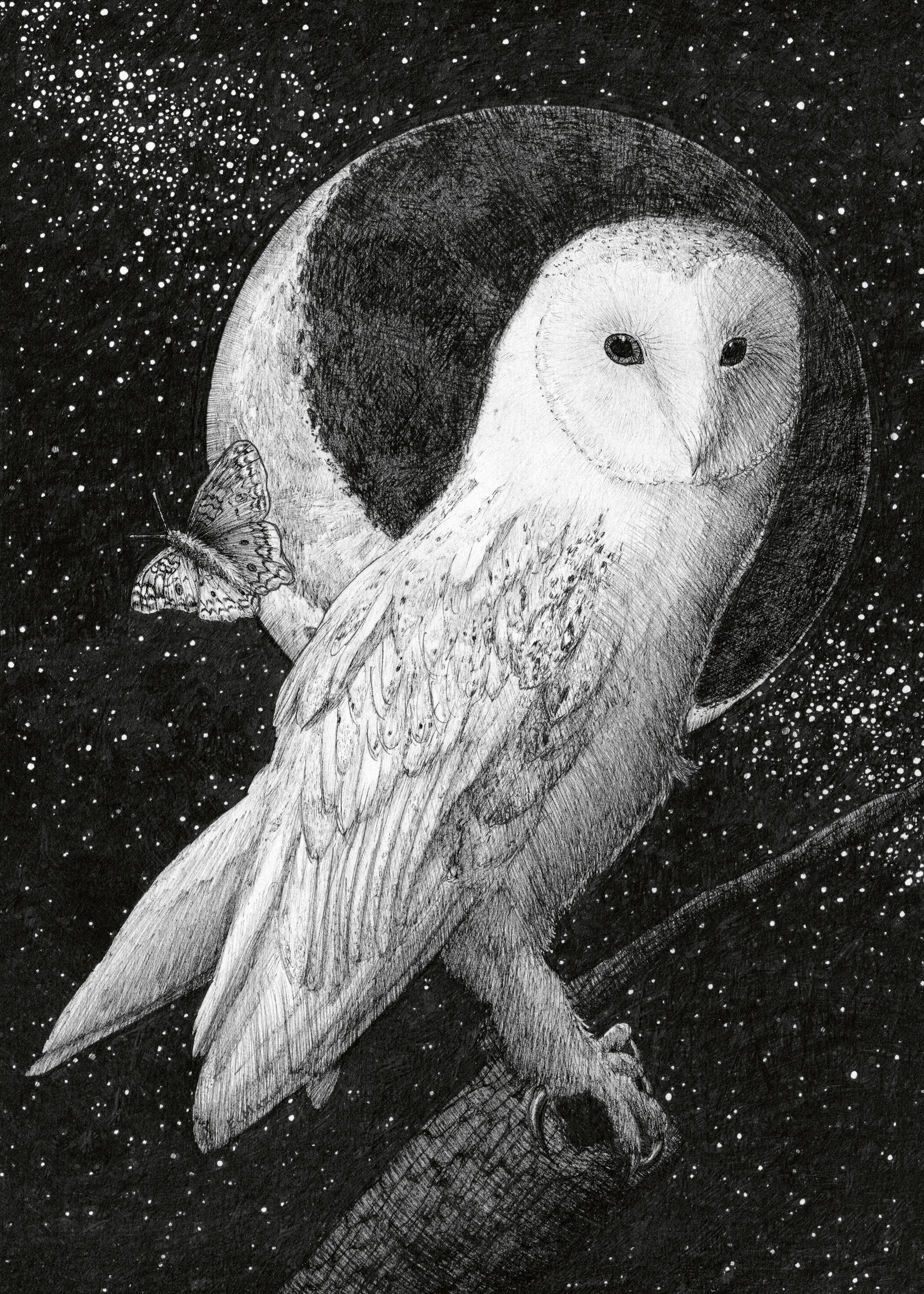 Celestial Owl Poster 0