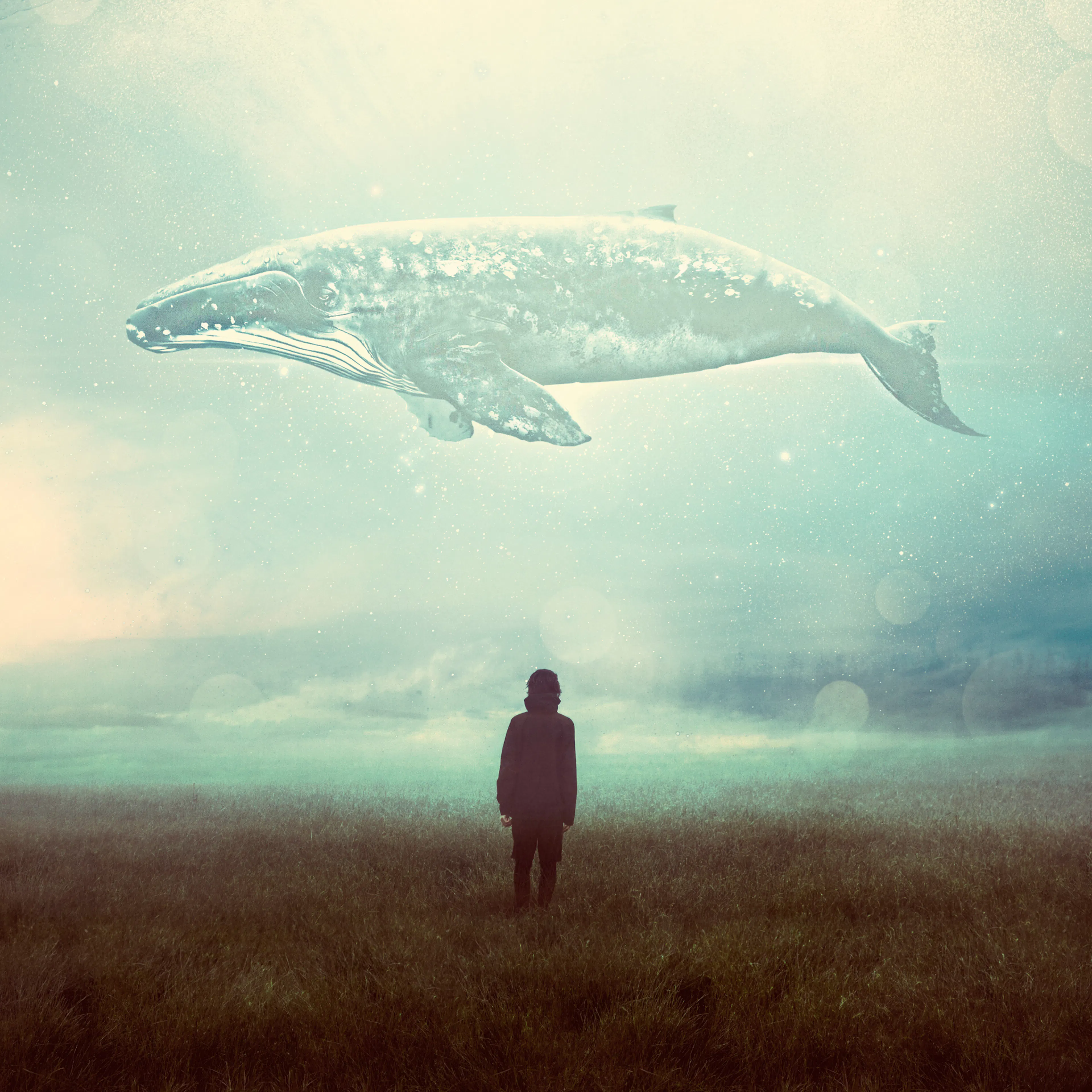 Dream Whale Poster 0
