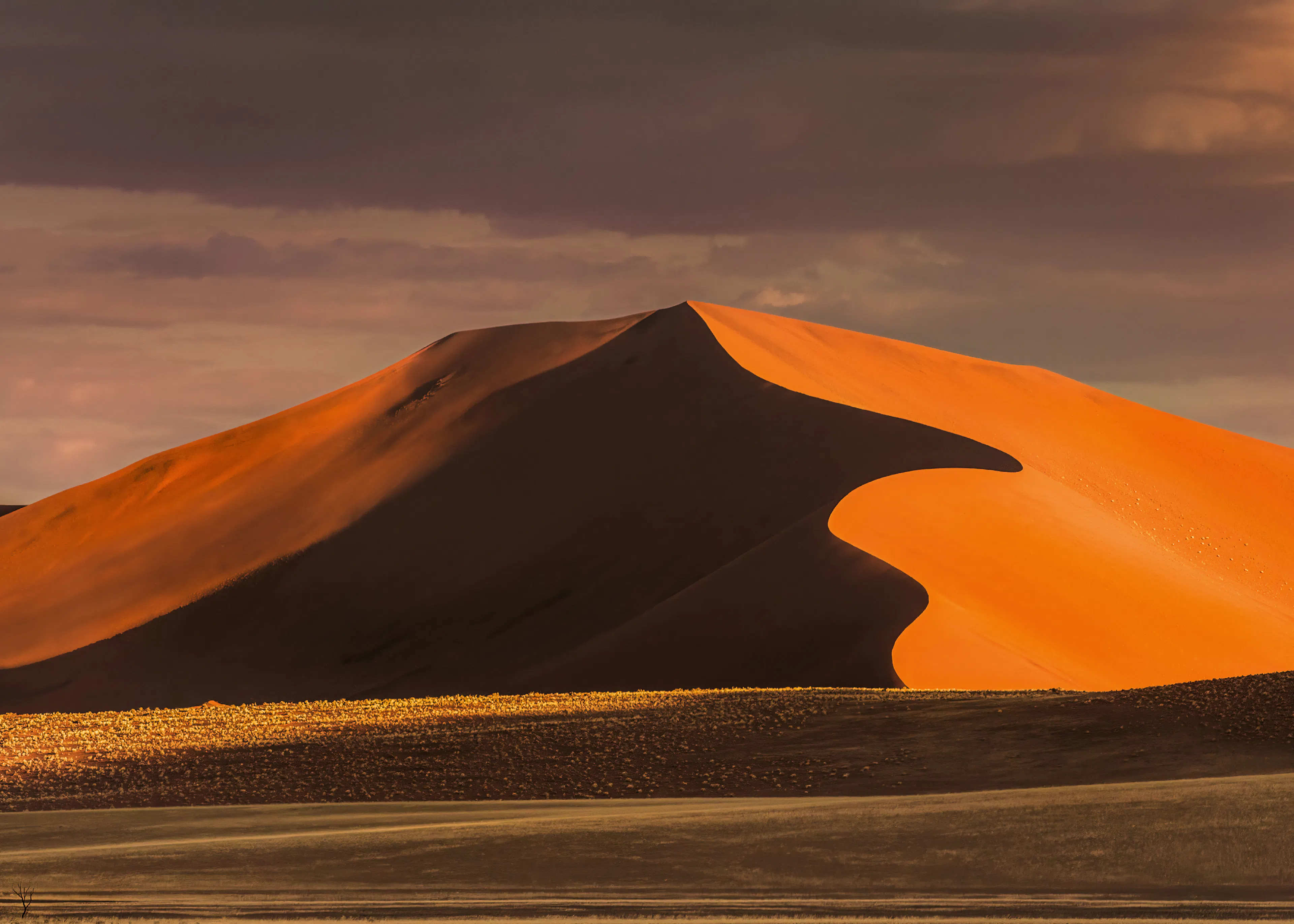 Desert Dunes Poster 0
