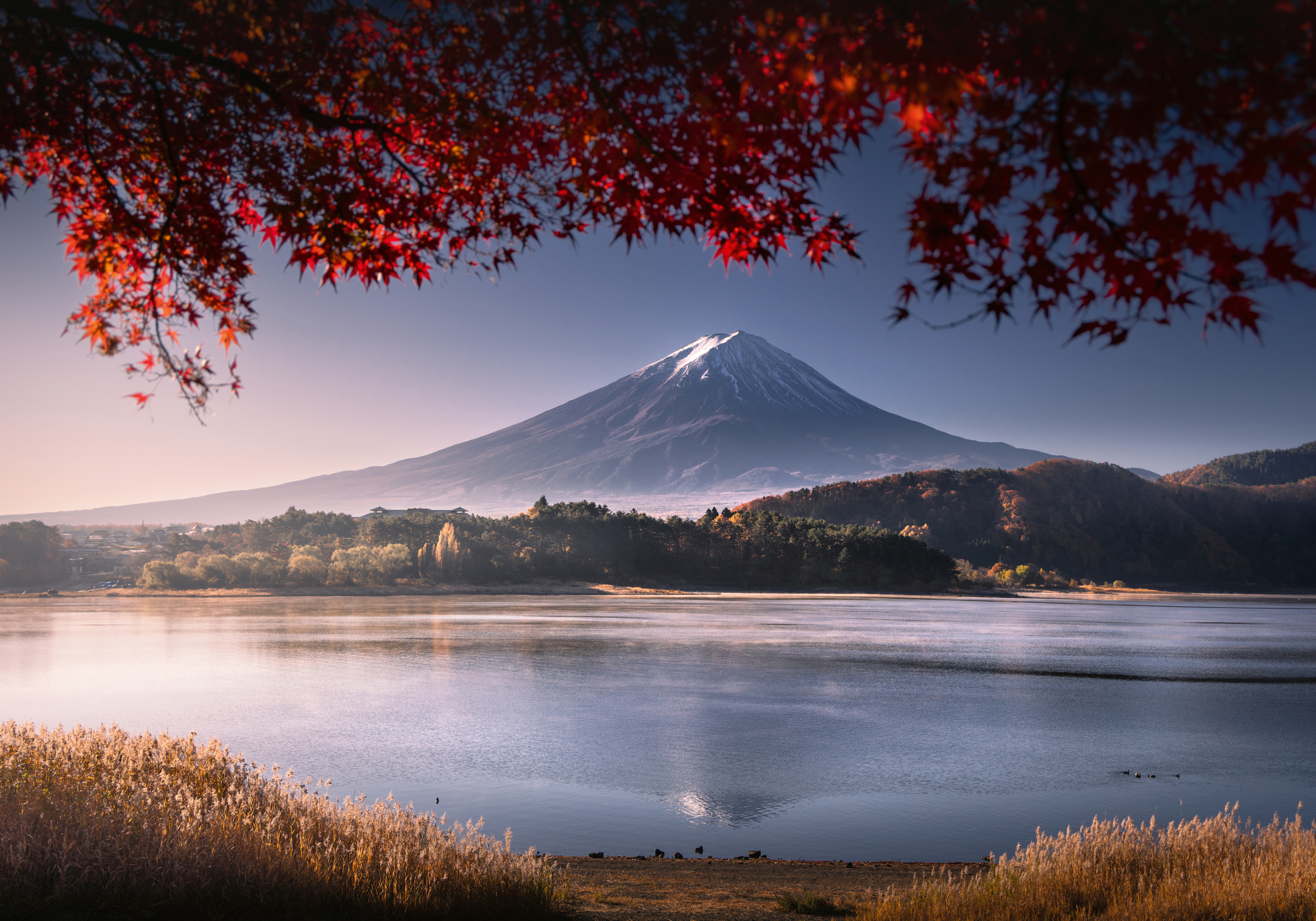 Red Autumn Serenity Poster