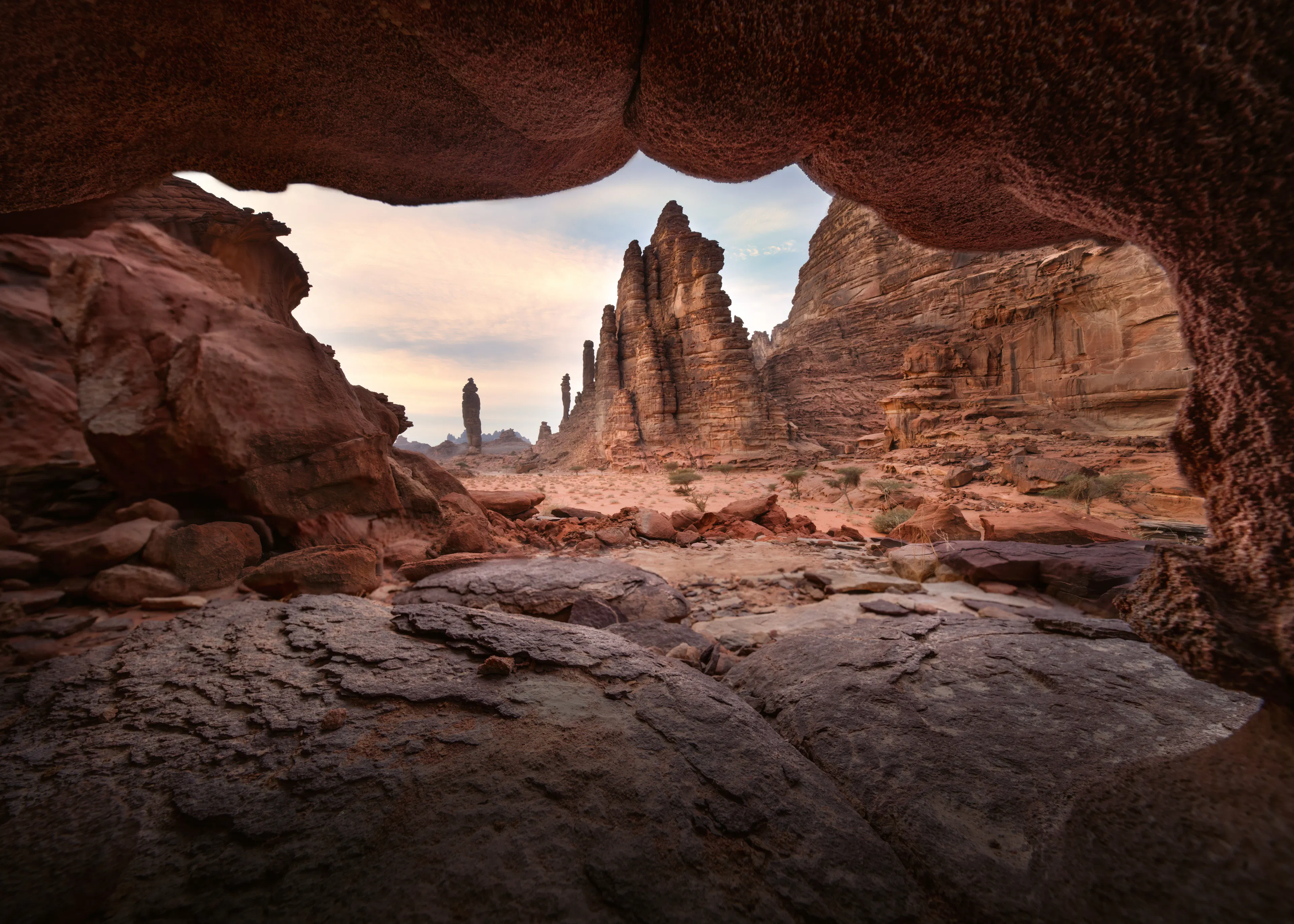 Brown Desert Sanctuary Poster 0