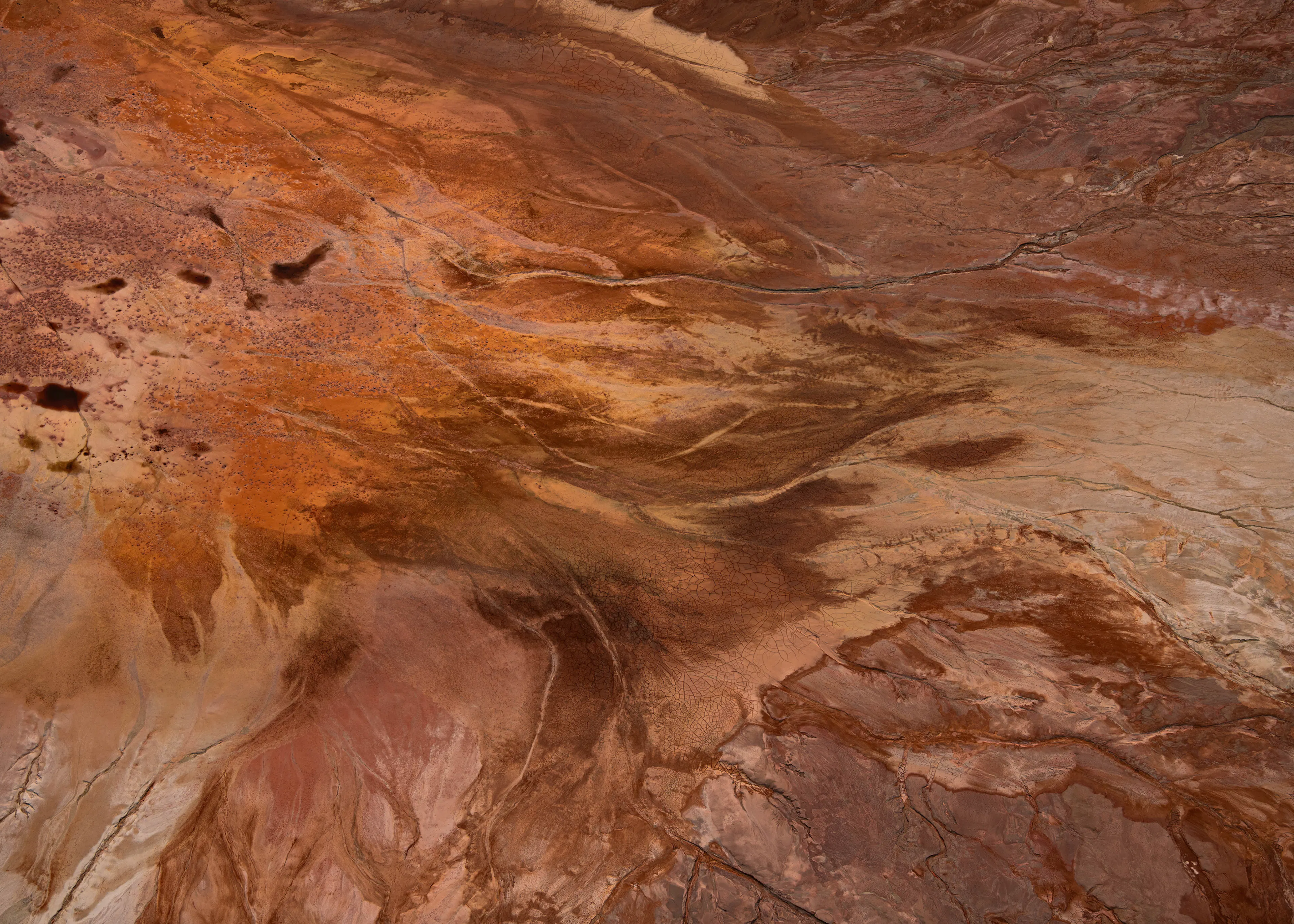 Rust Desert Flight Poster 0