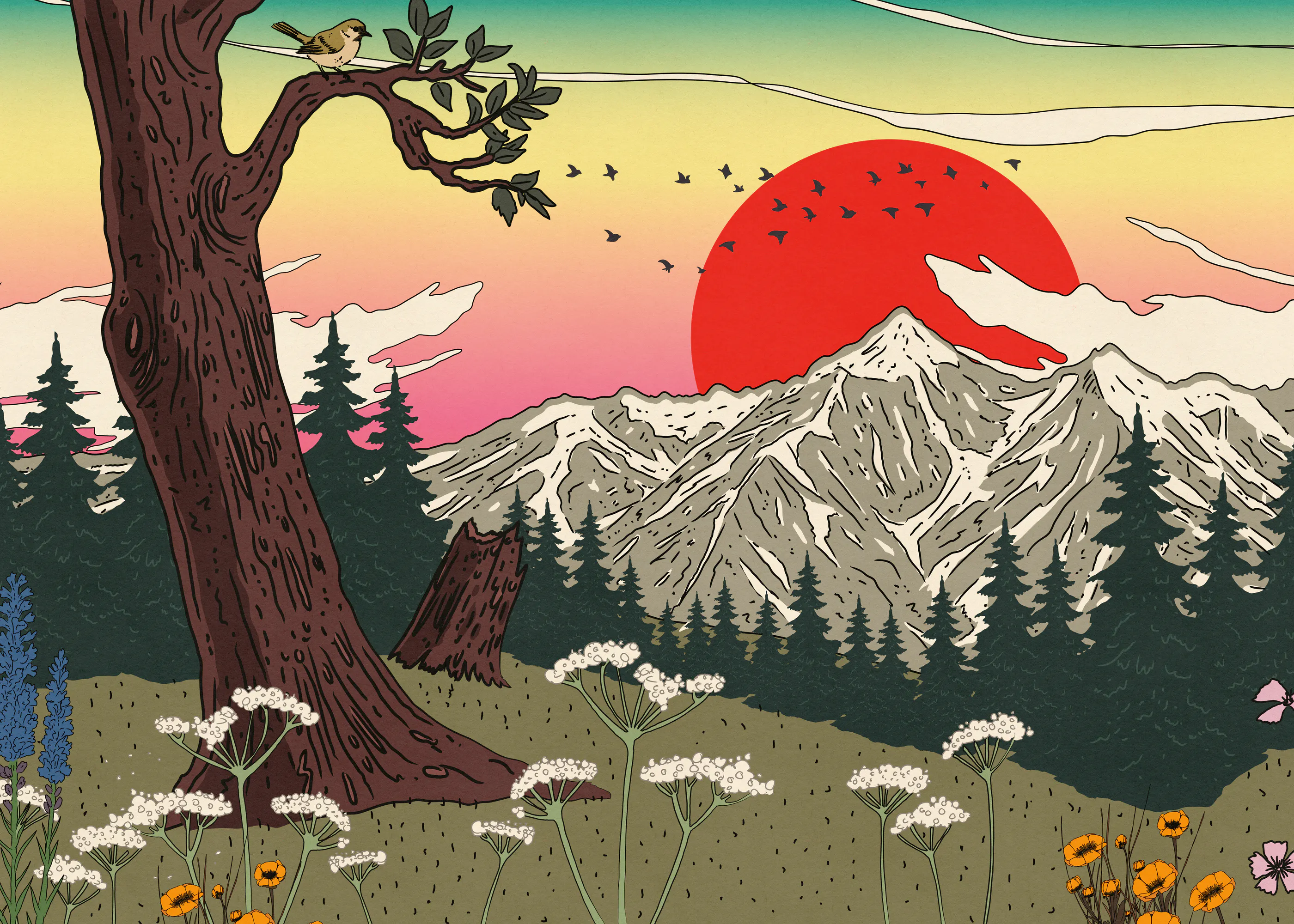 Zonsondergang Wildernis Poster 0