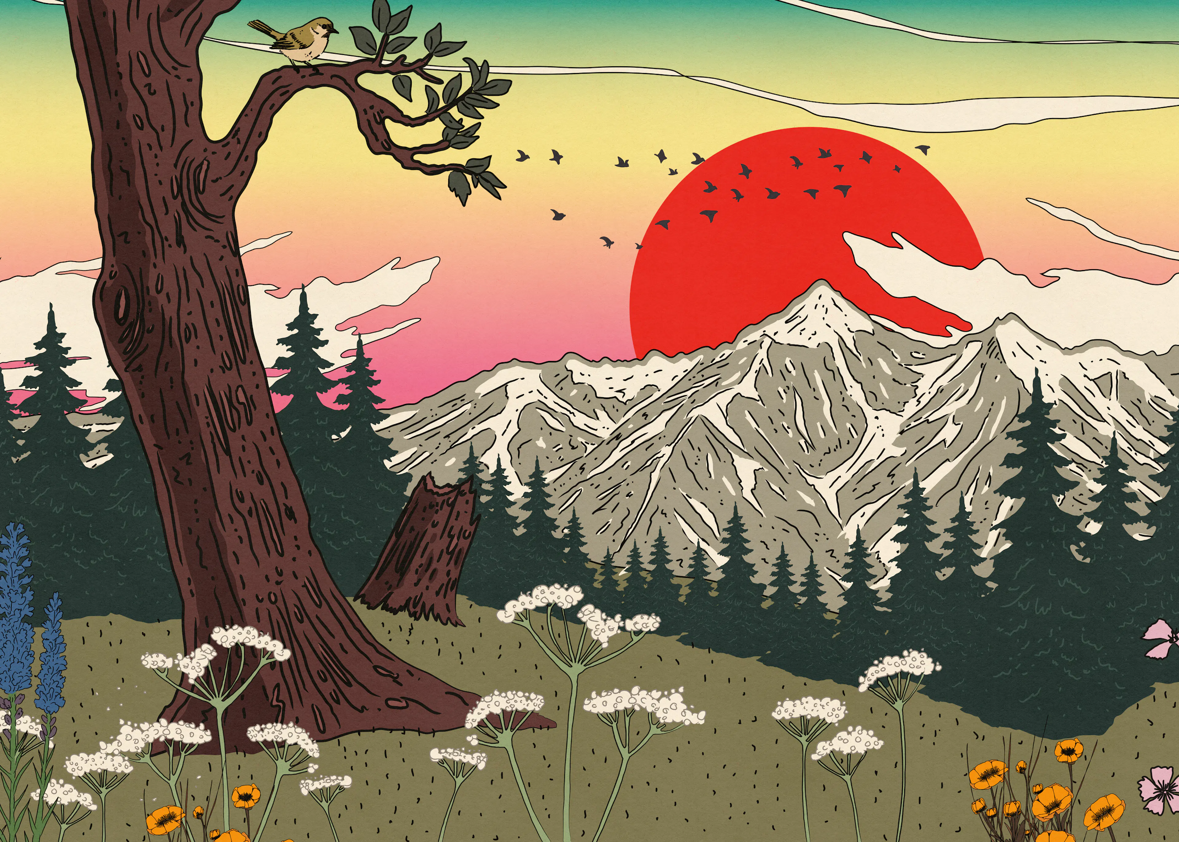 Sunset Wilderness Poster 0