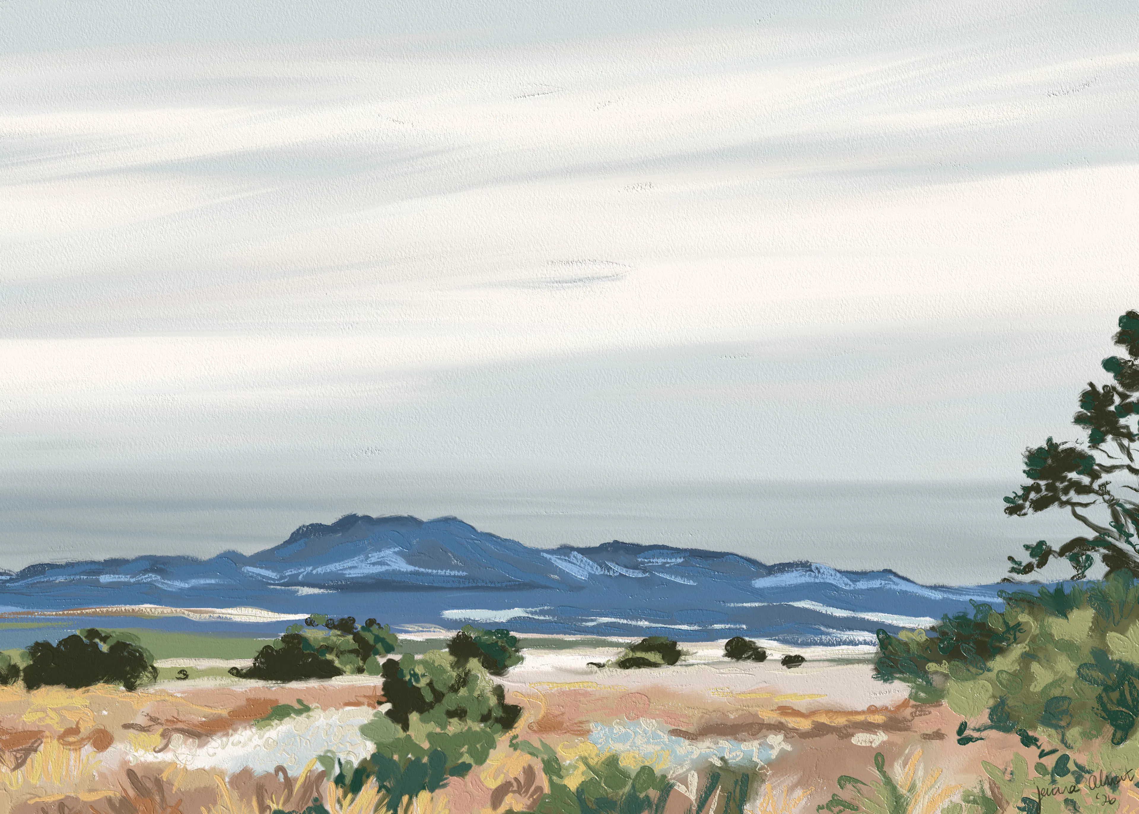 Serene Desert Landscape Poster 0