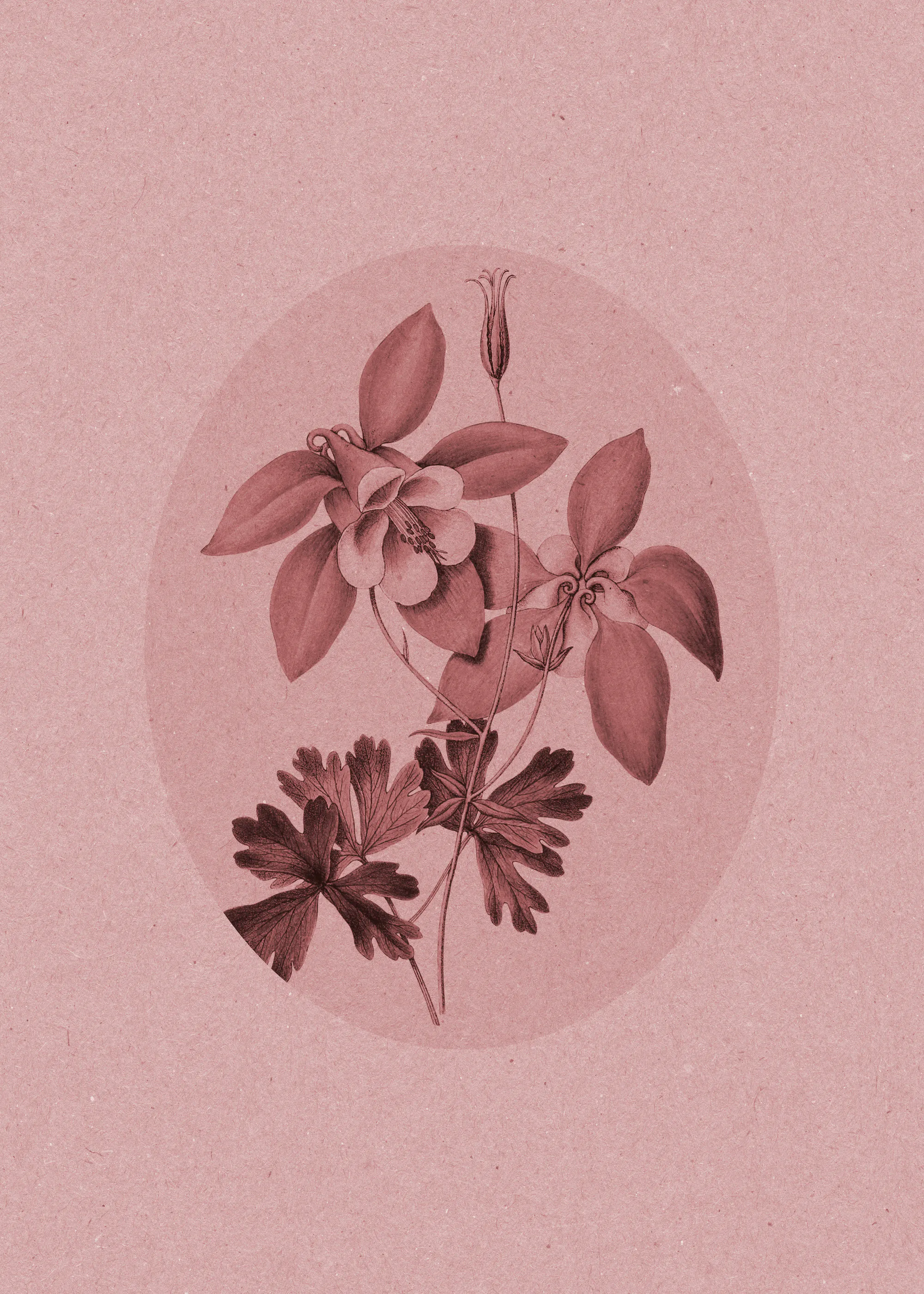 Botanisch Blush Poster 0