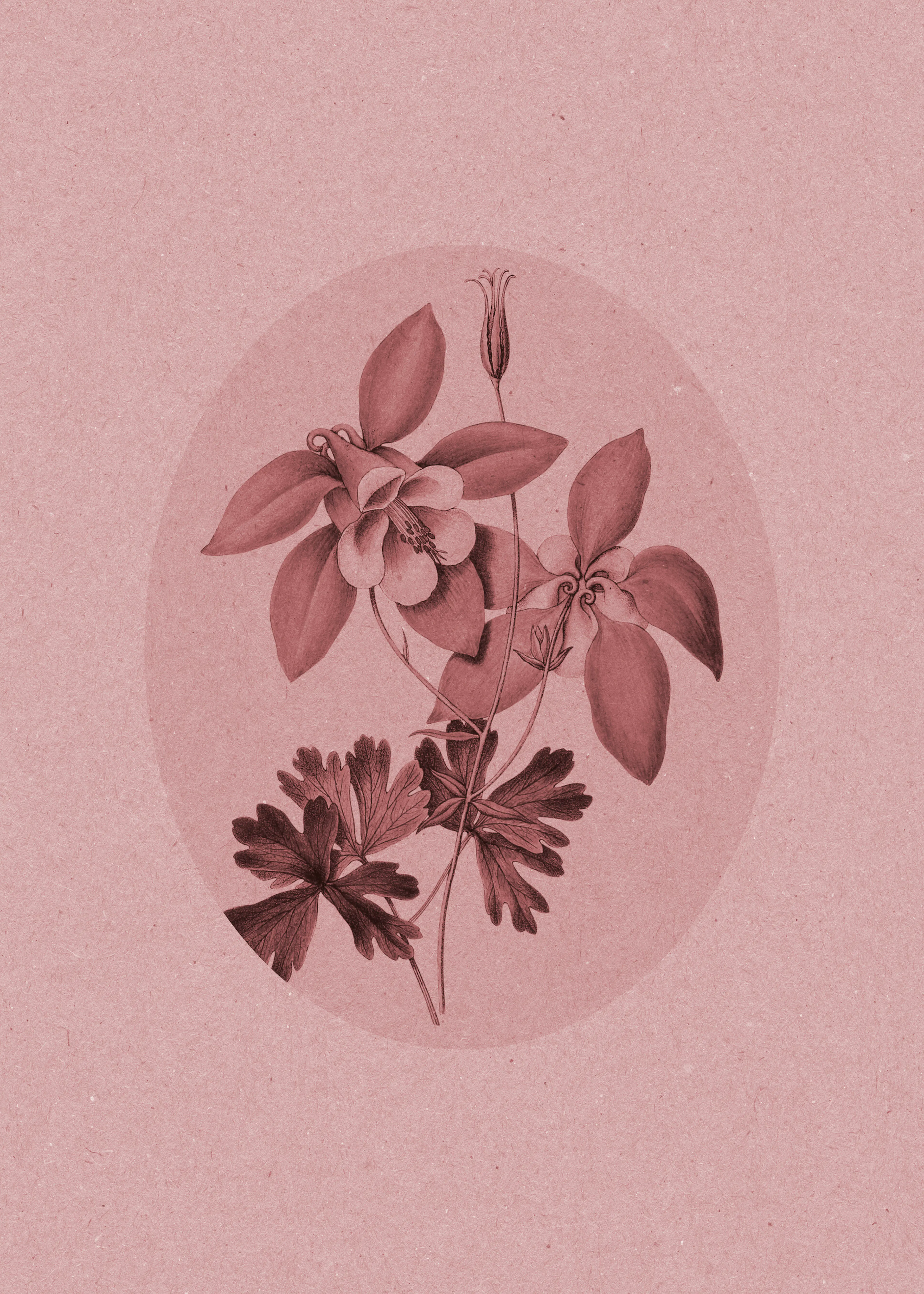 Botanical Blush Poster 0