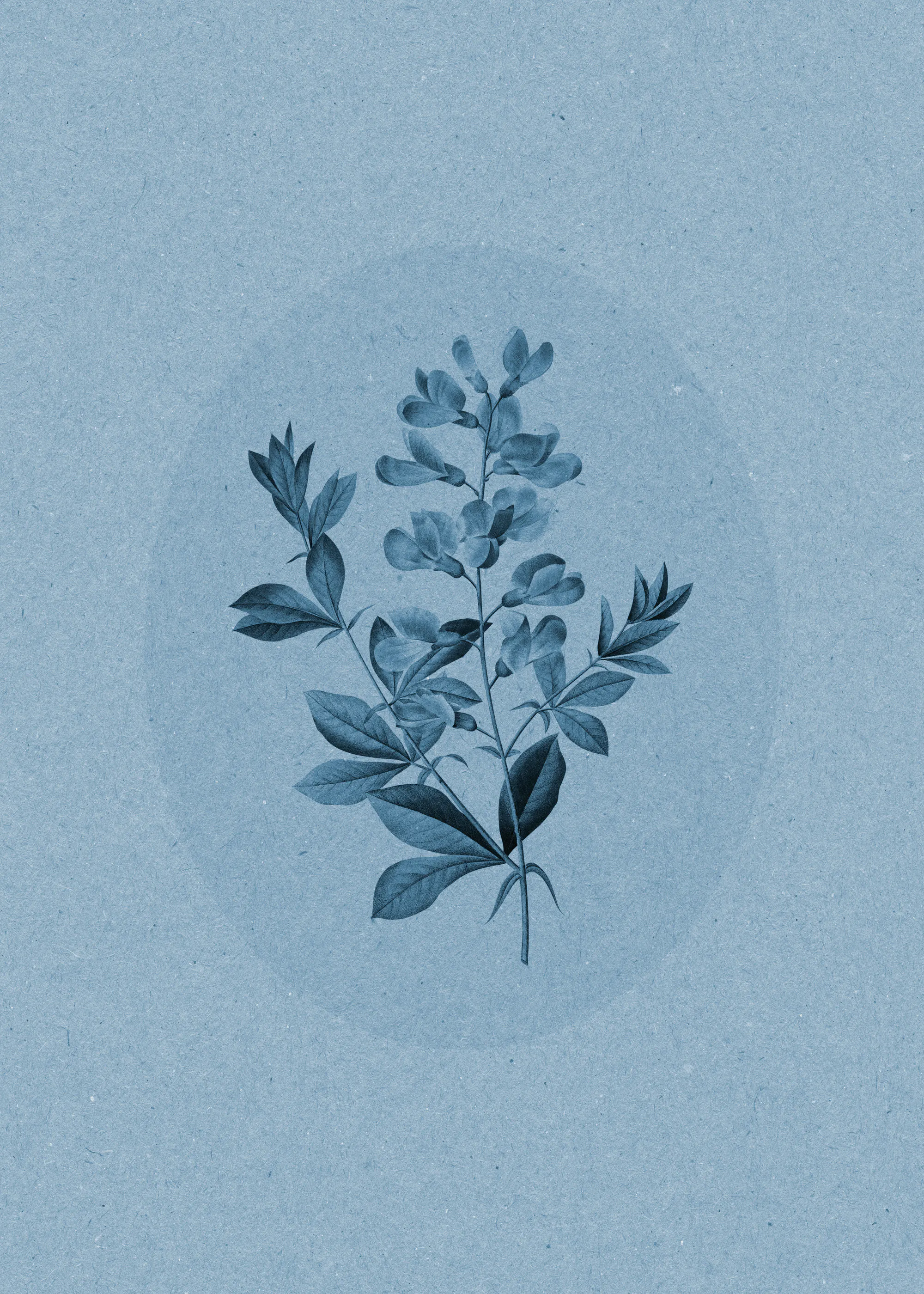 Blauwe Bloemen Gratie Poster 0
