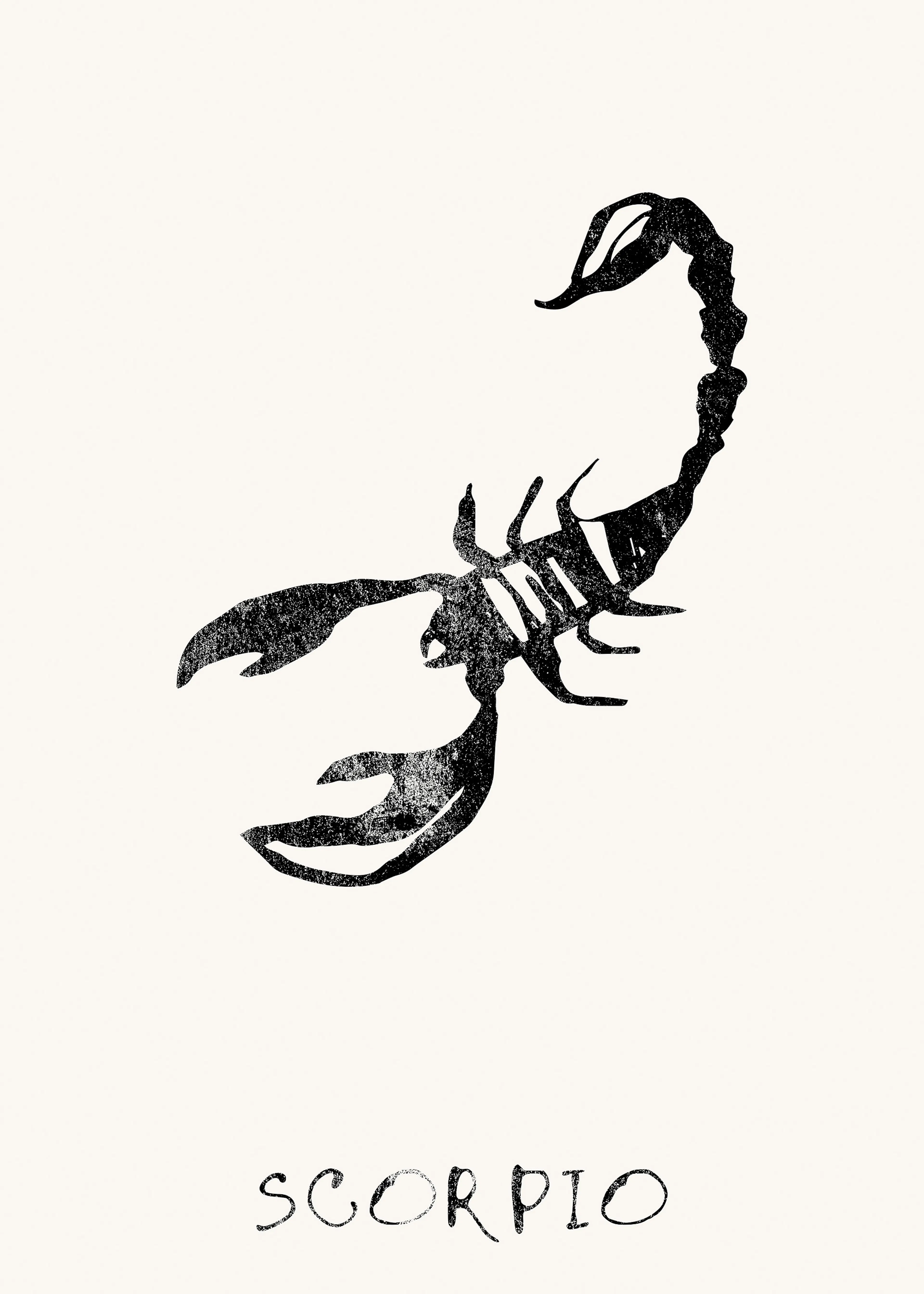 Black Scorpio Poster 0