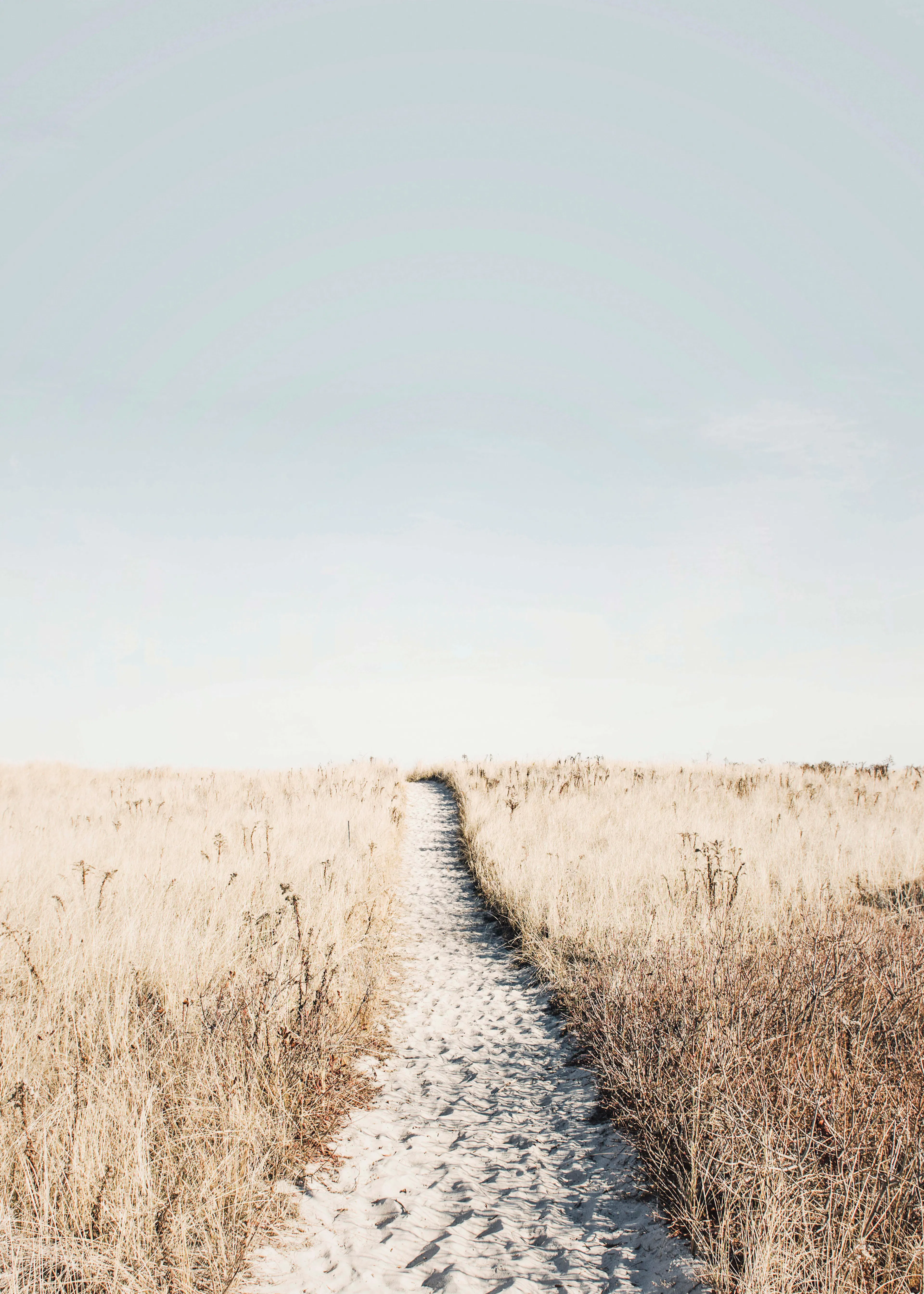 Pad Door Het Gras Poster 0