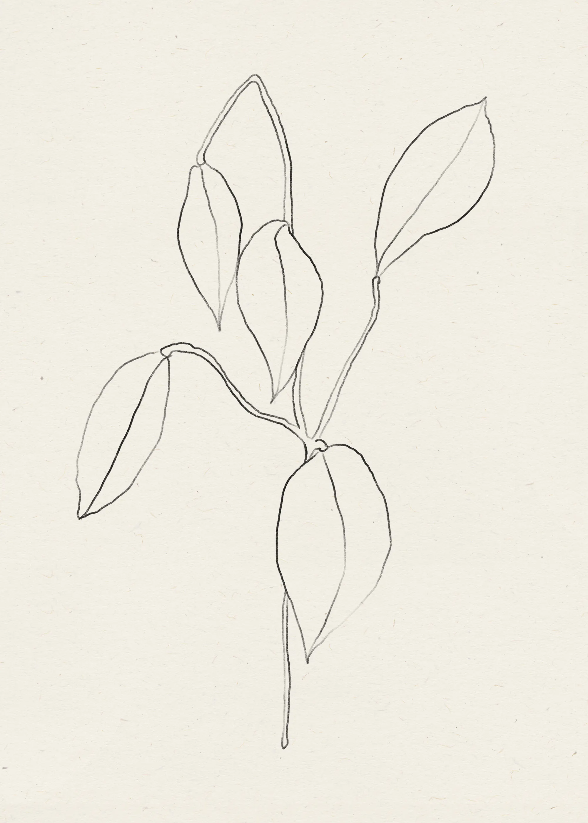 Minimalist Leaves Poster 0