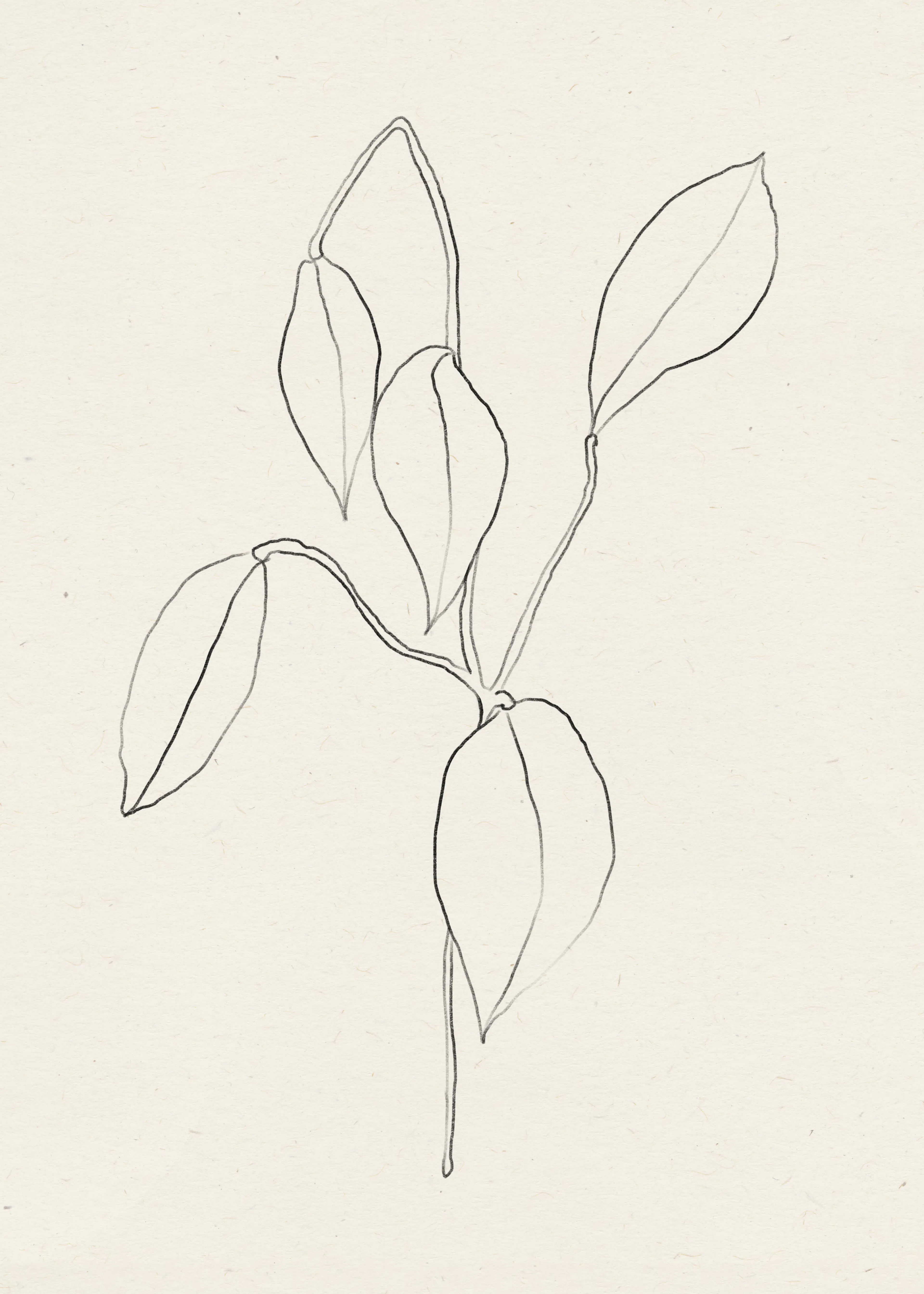 Minimalist Leaves Poster 0