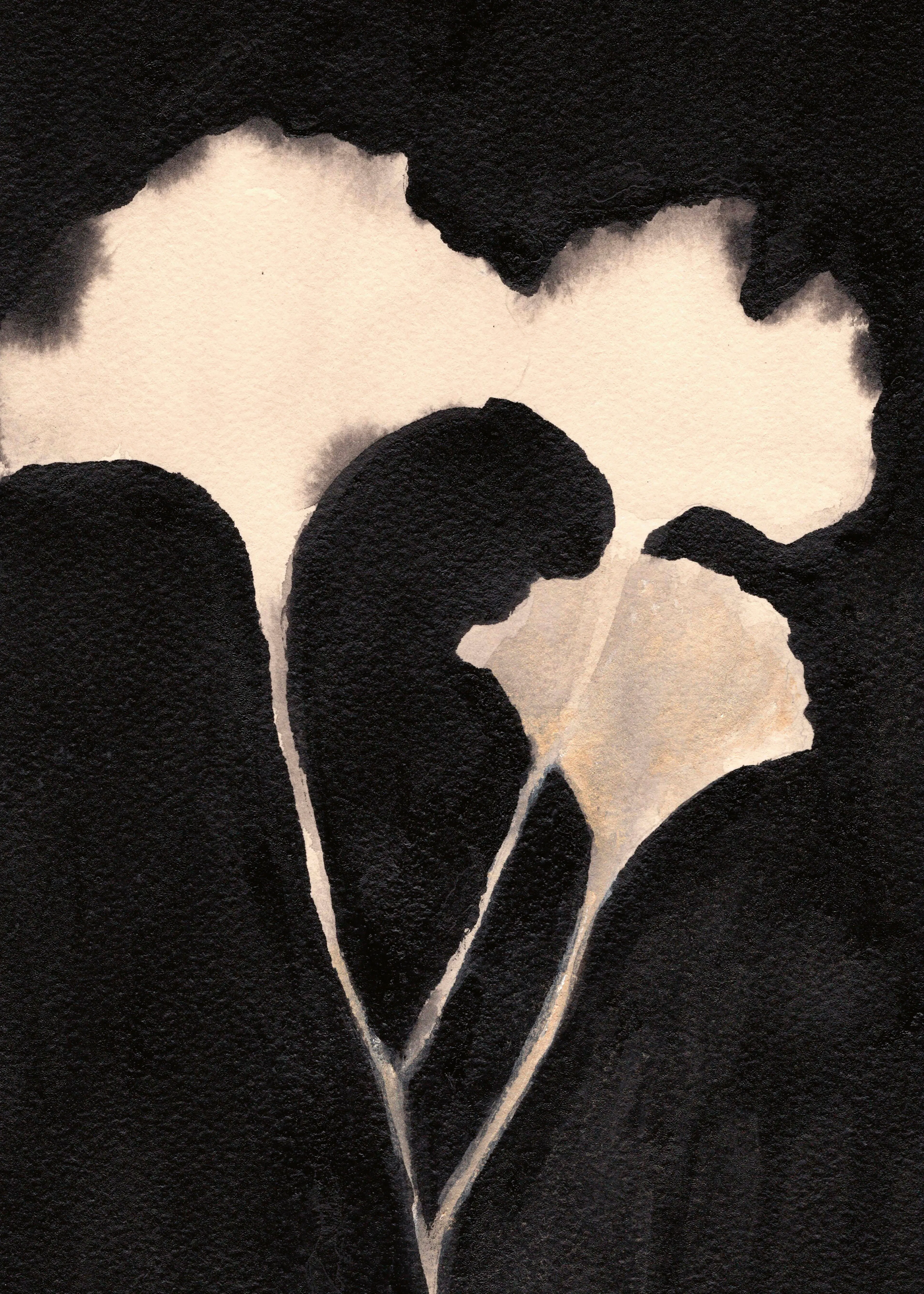 Delicate Shadows Poster 0
