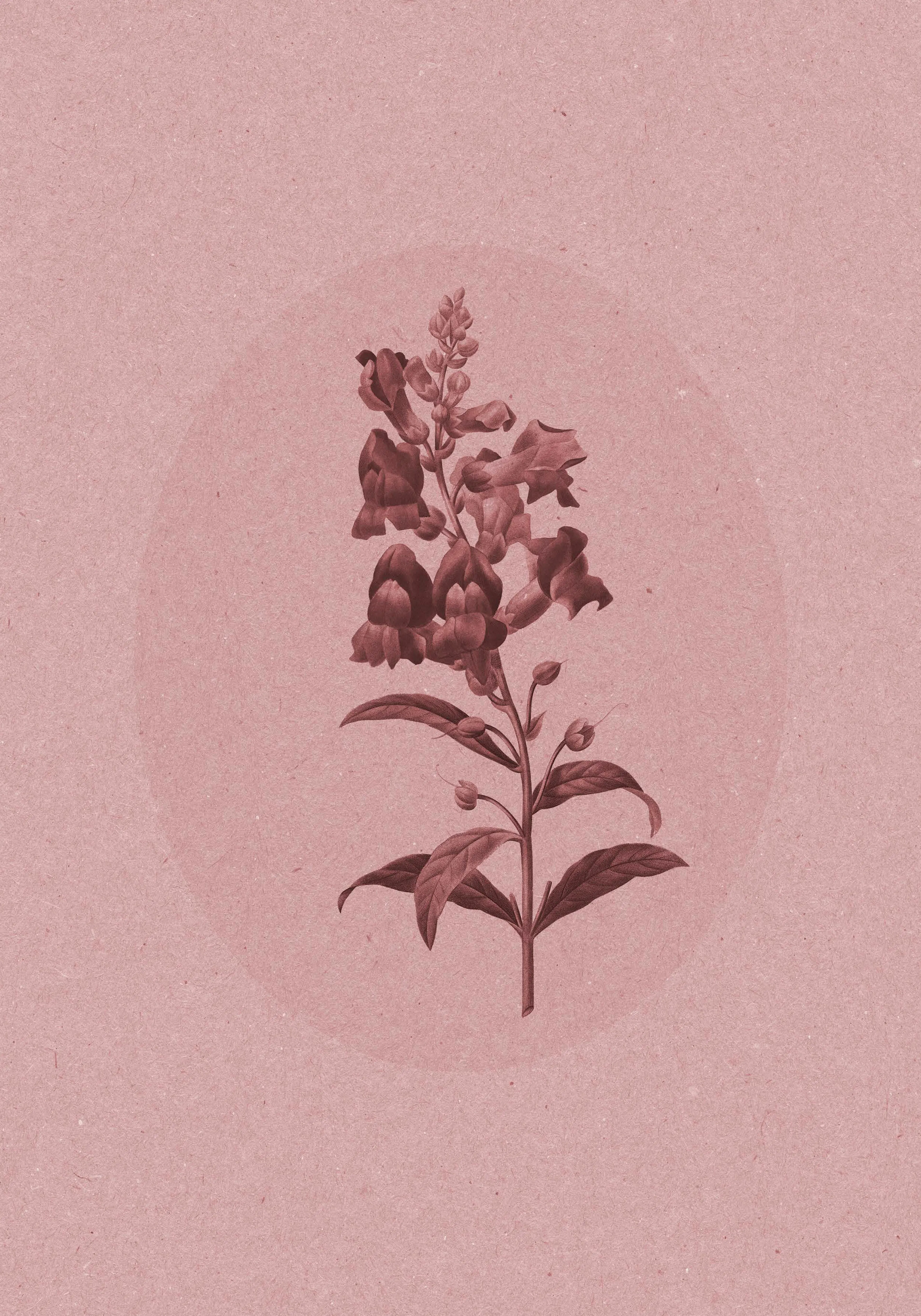 Product image: 1