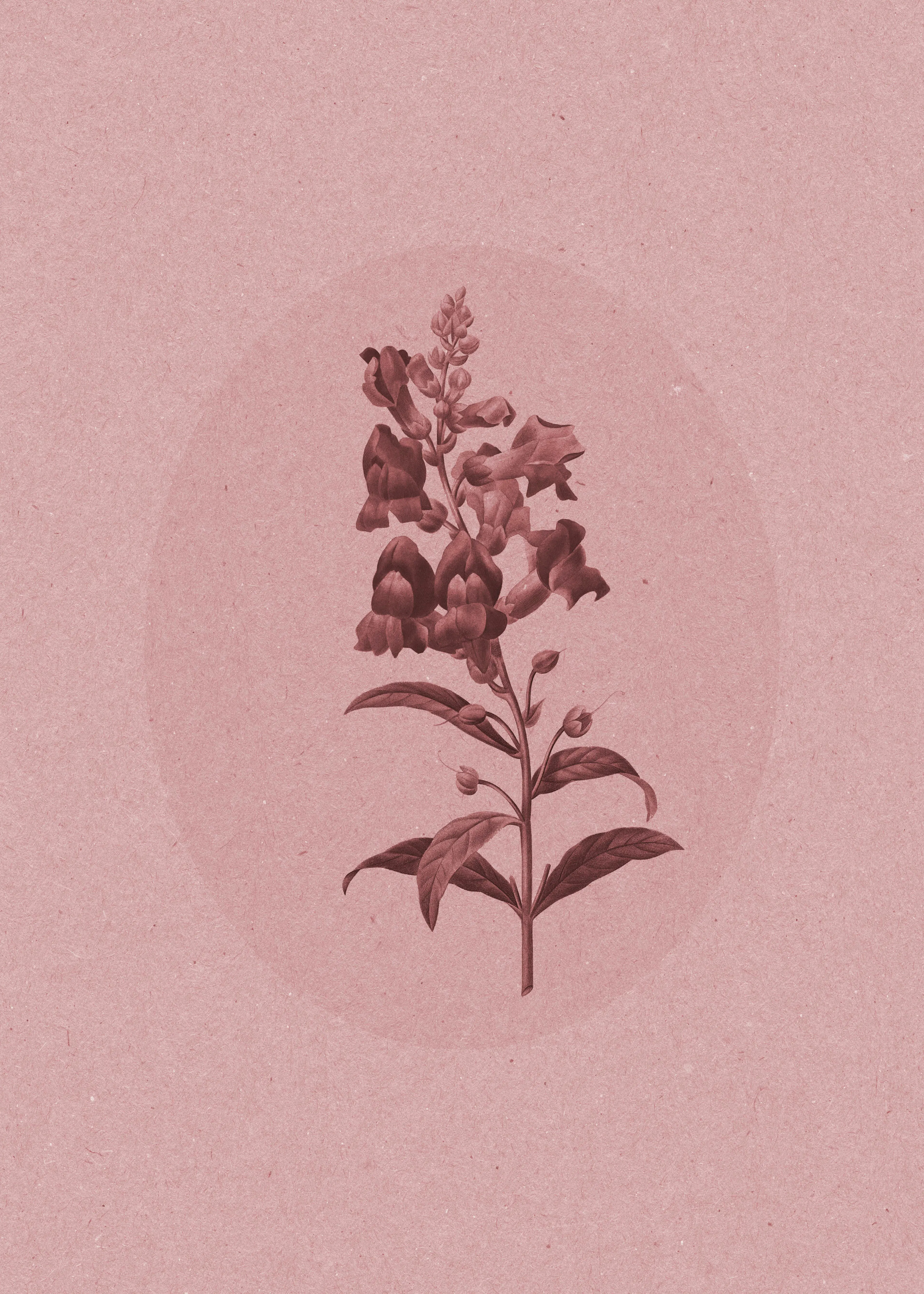 Vintage Bloom Poster 0