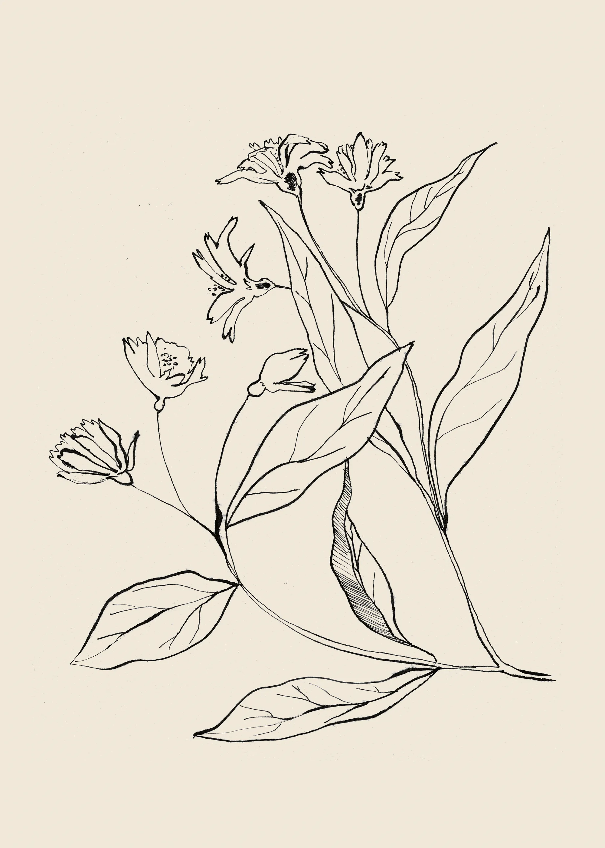 Sanfte Beige Botanische Eleganz Poster 0