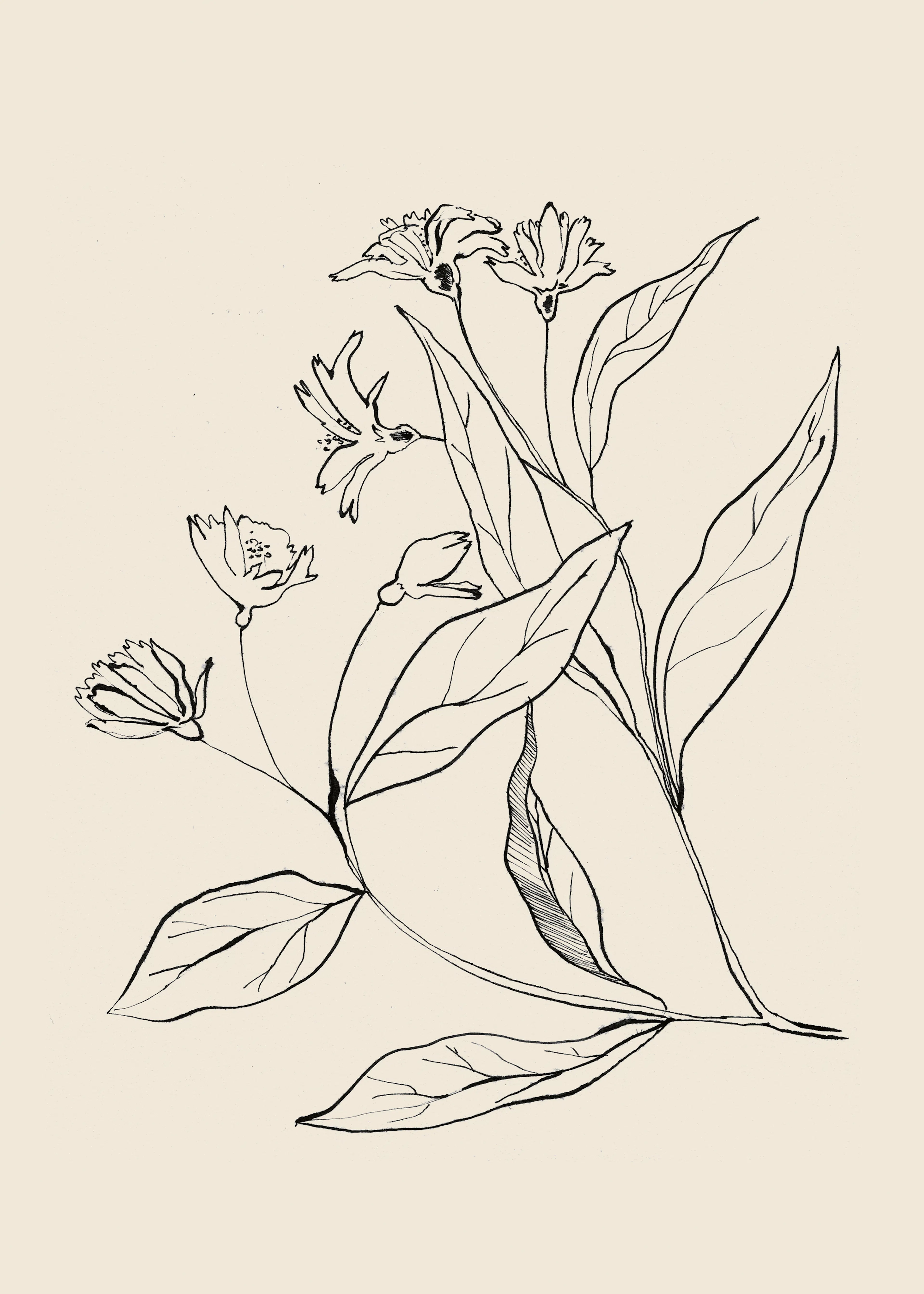 Soft Beige Botanical Elegance Poster 0