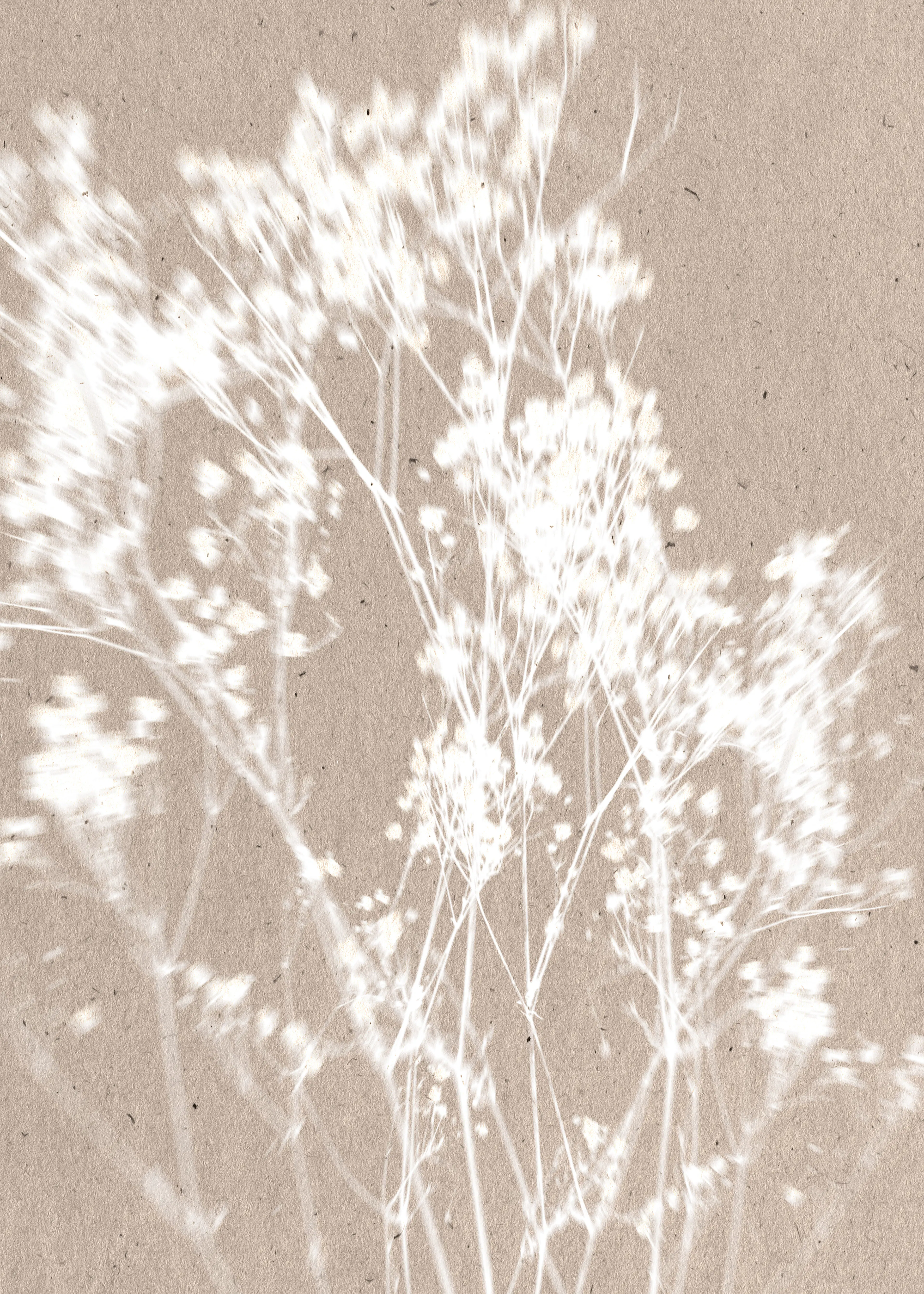 Delicate Floral Silhouette Poster 0