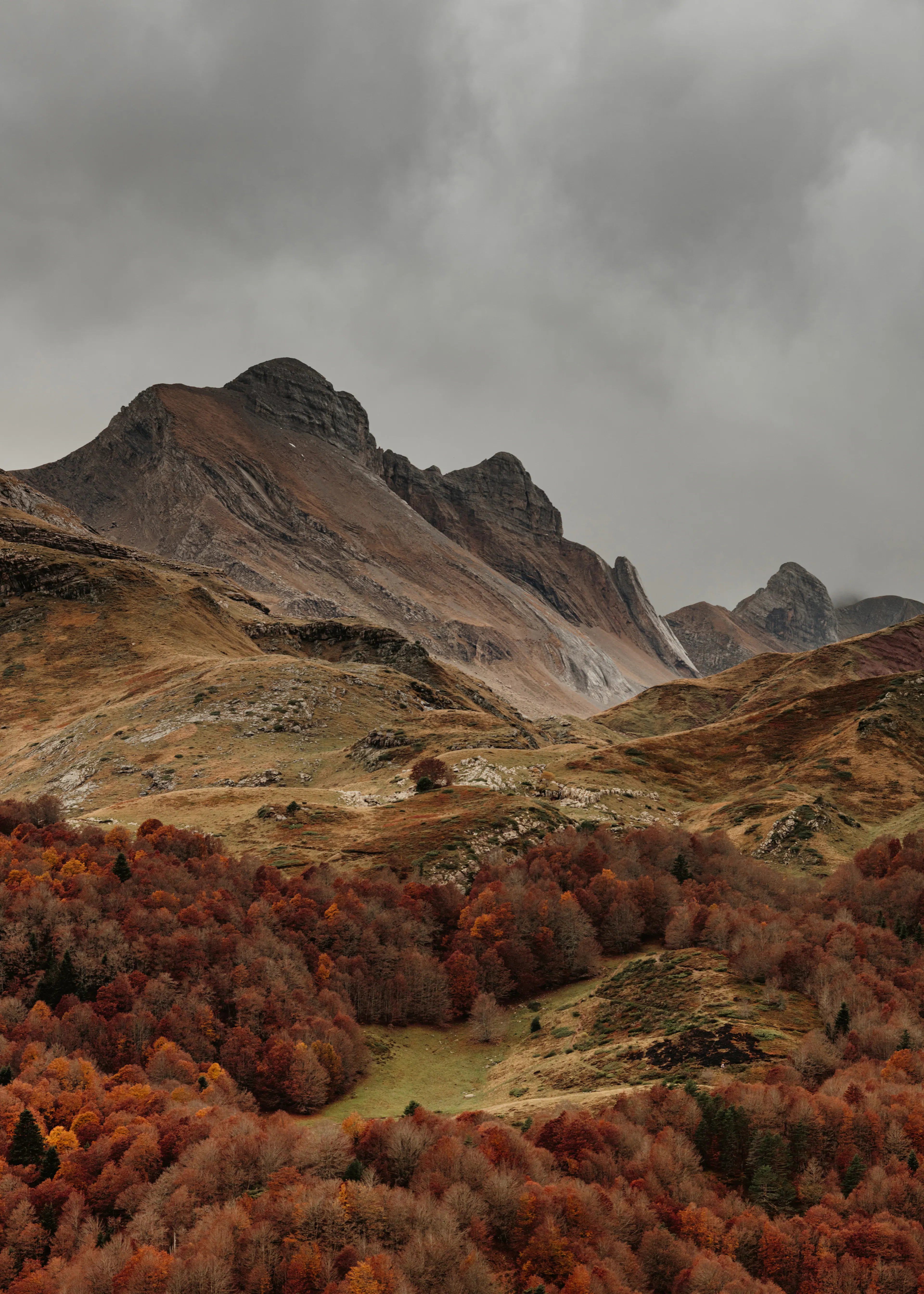 Montagne d'Autunno Poster 0