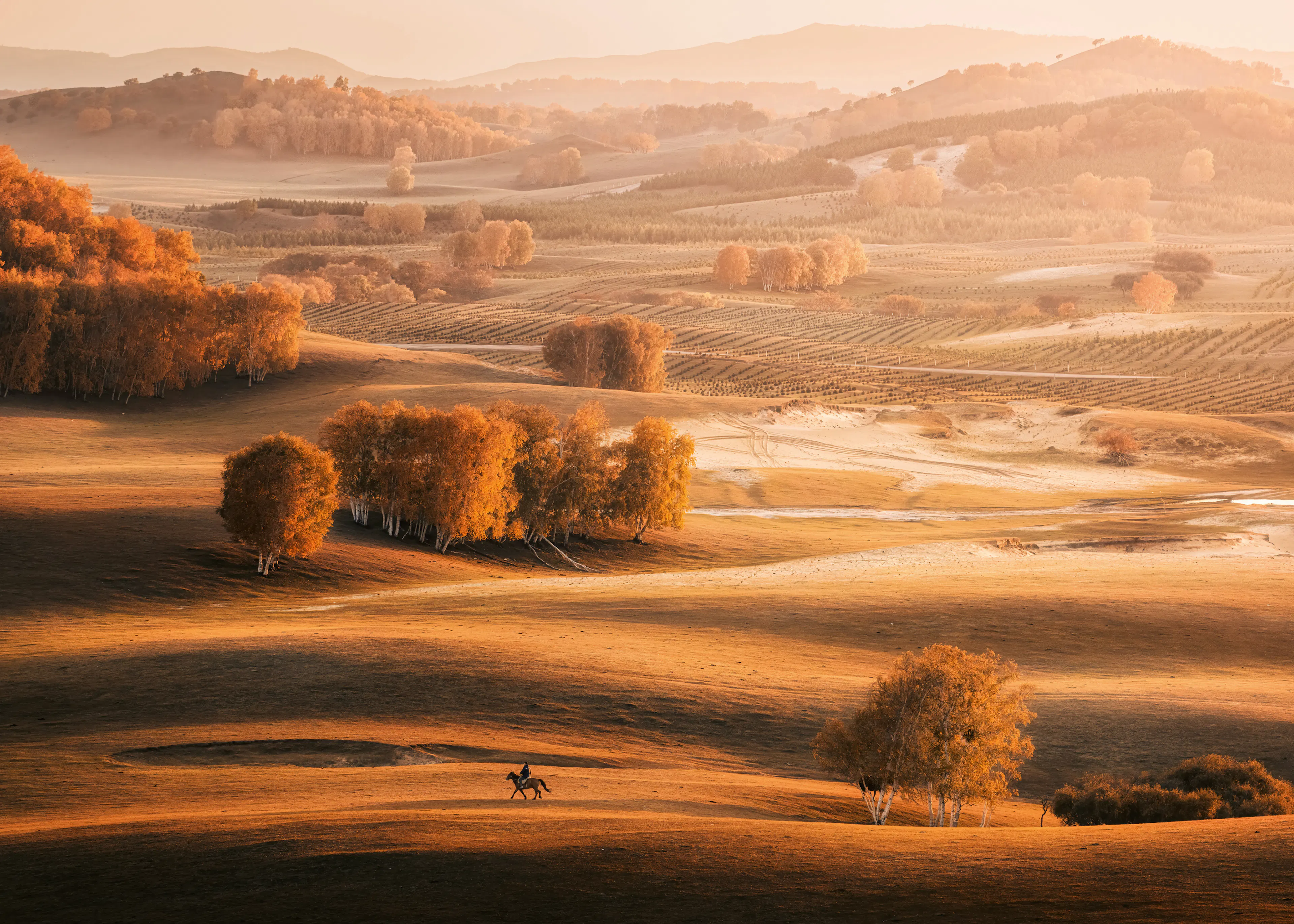 Golden Autumn Poster 0