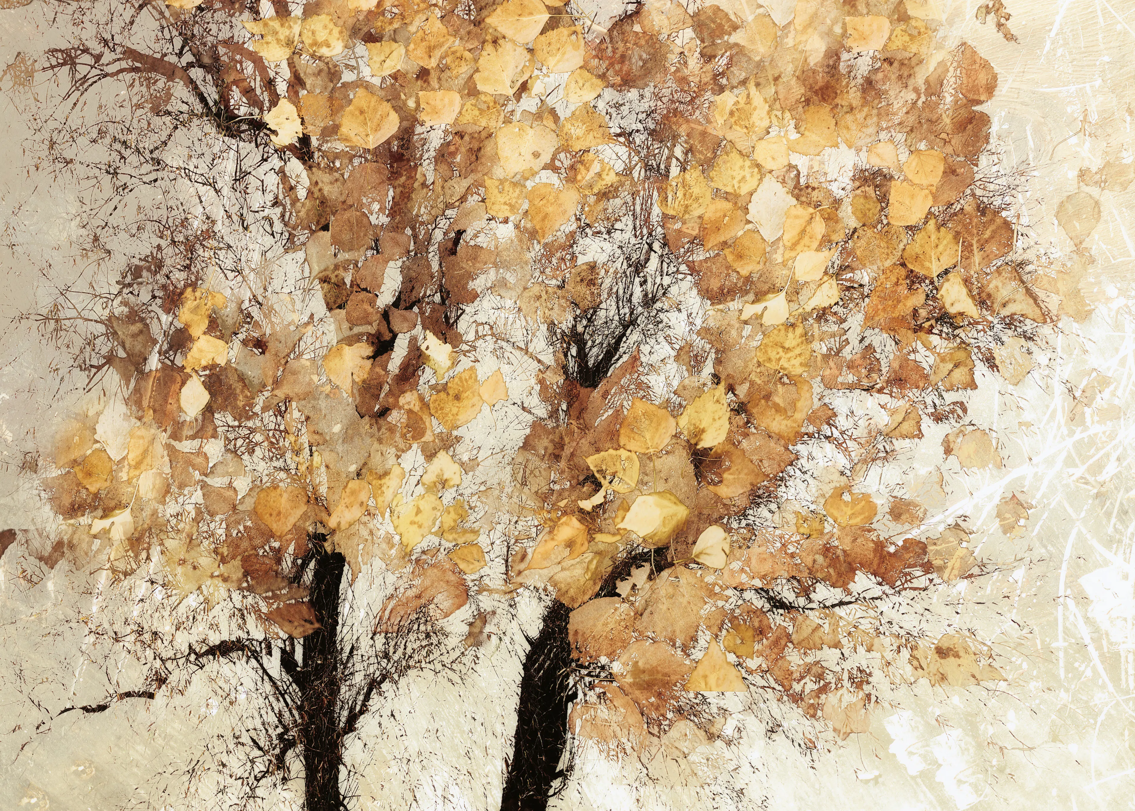 Brown Golden Autumn Poster 0