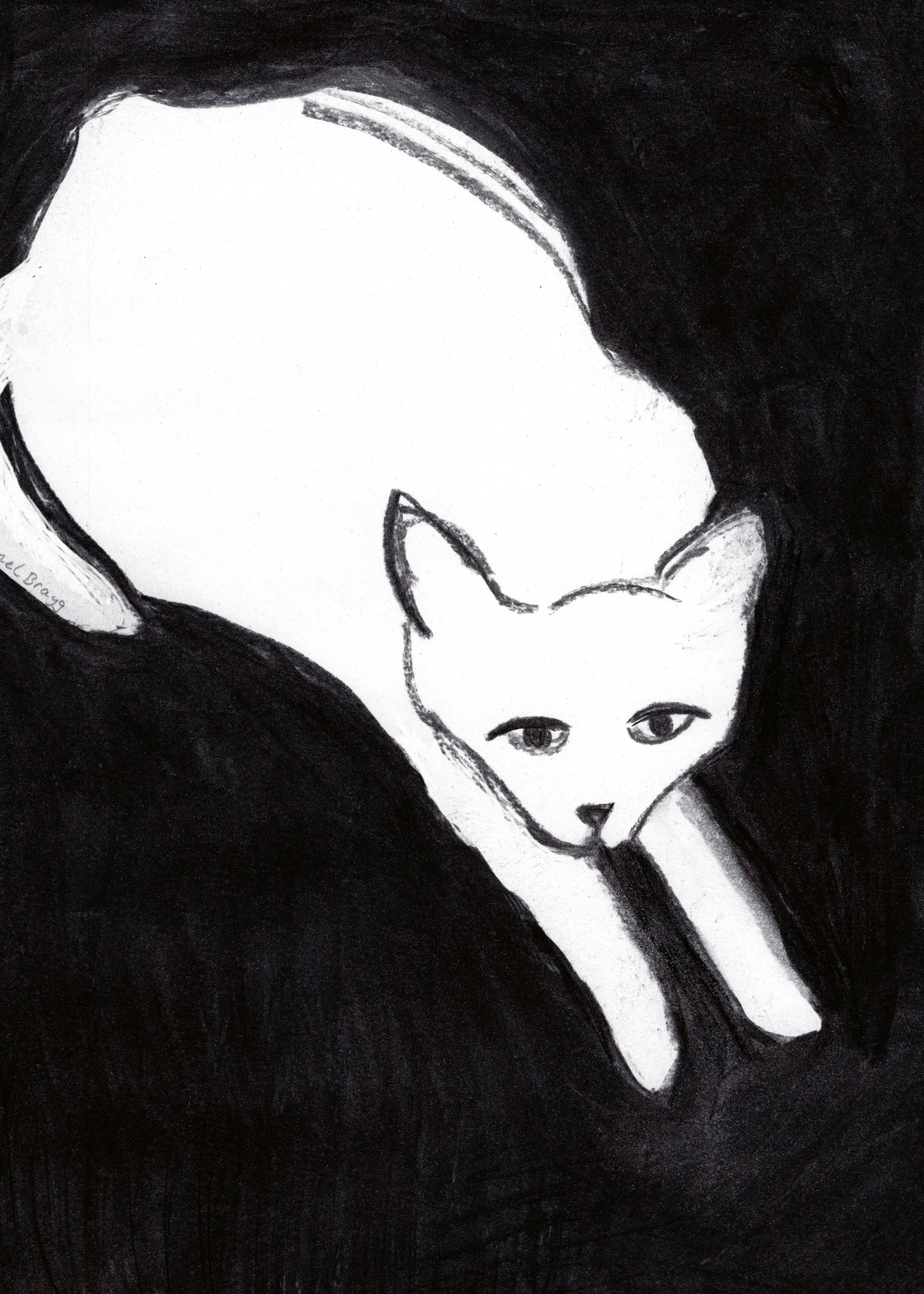 Ghost Cat Poster 0