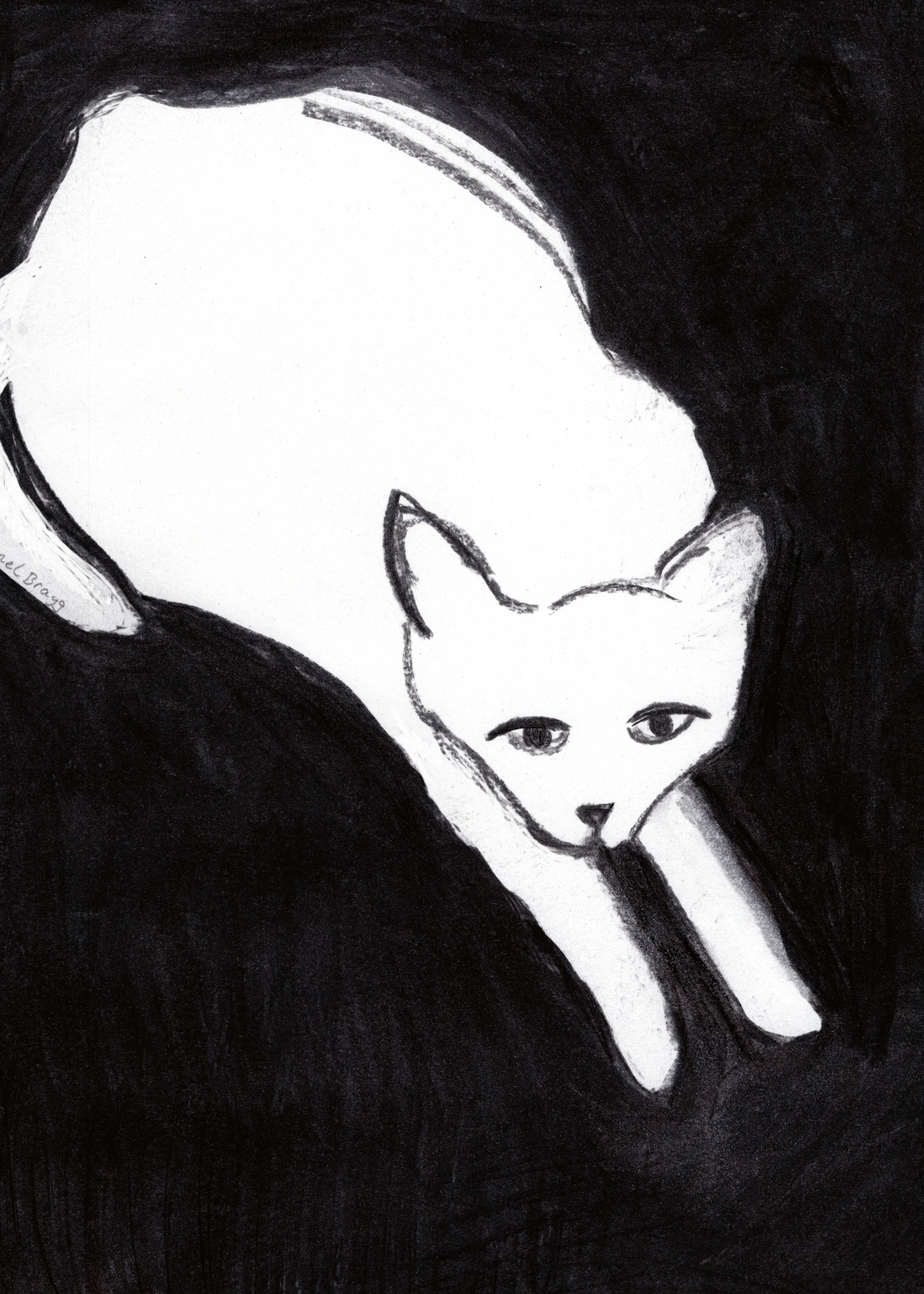 Ghost Cat Poster 0