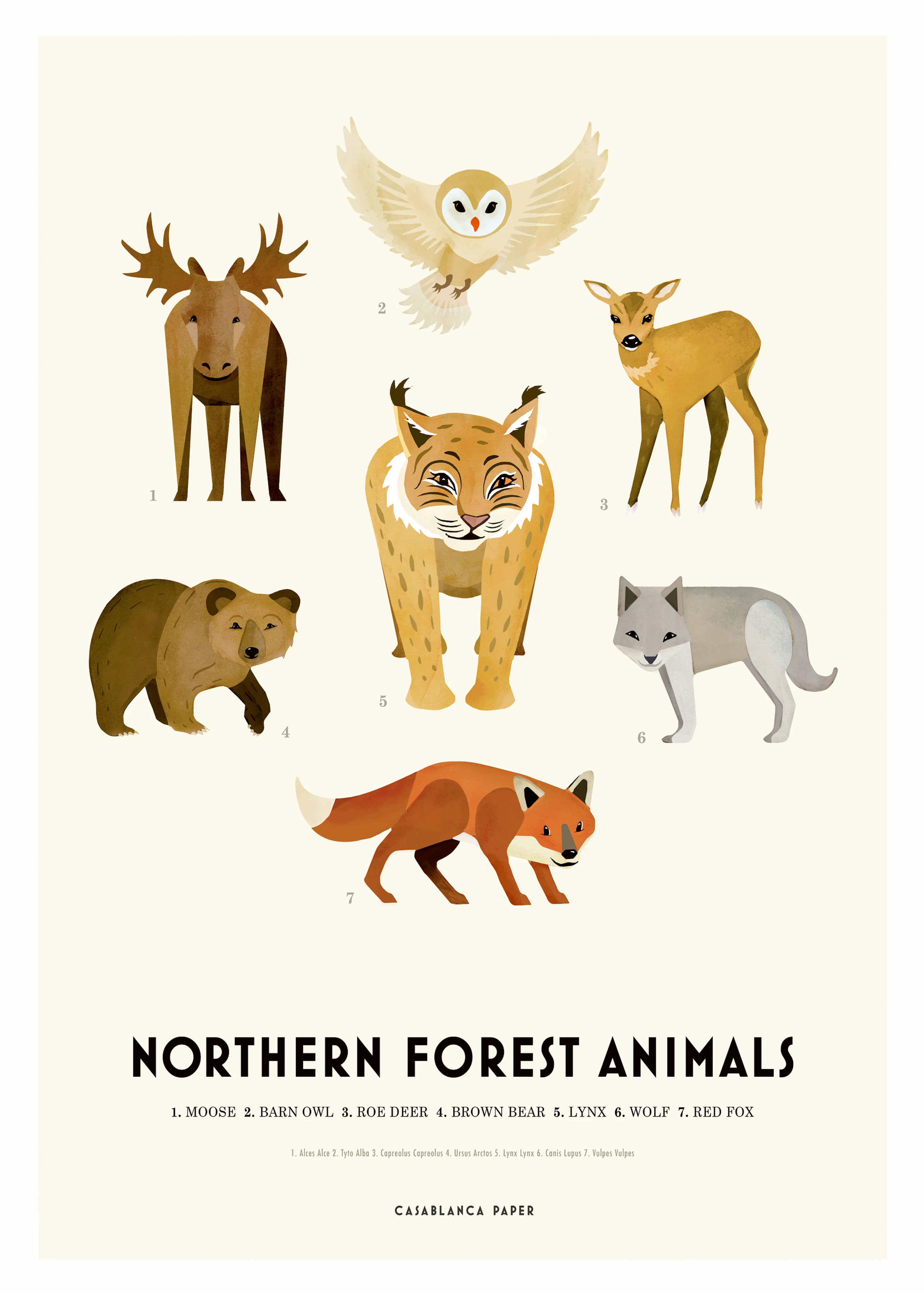 Noordelijk Bos Wilde Dieren Poster 0