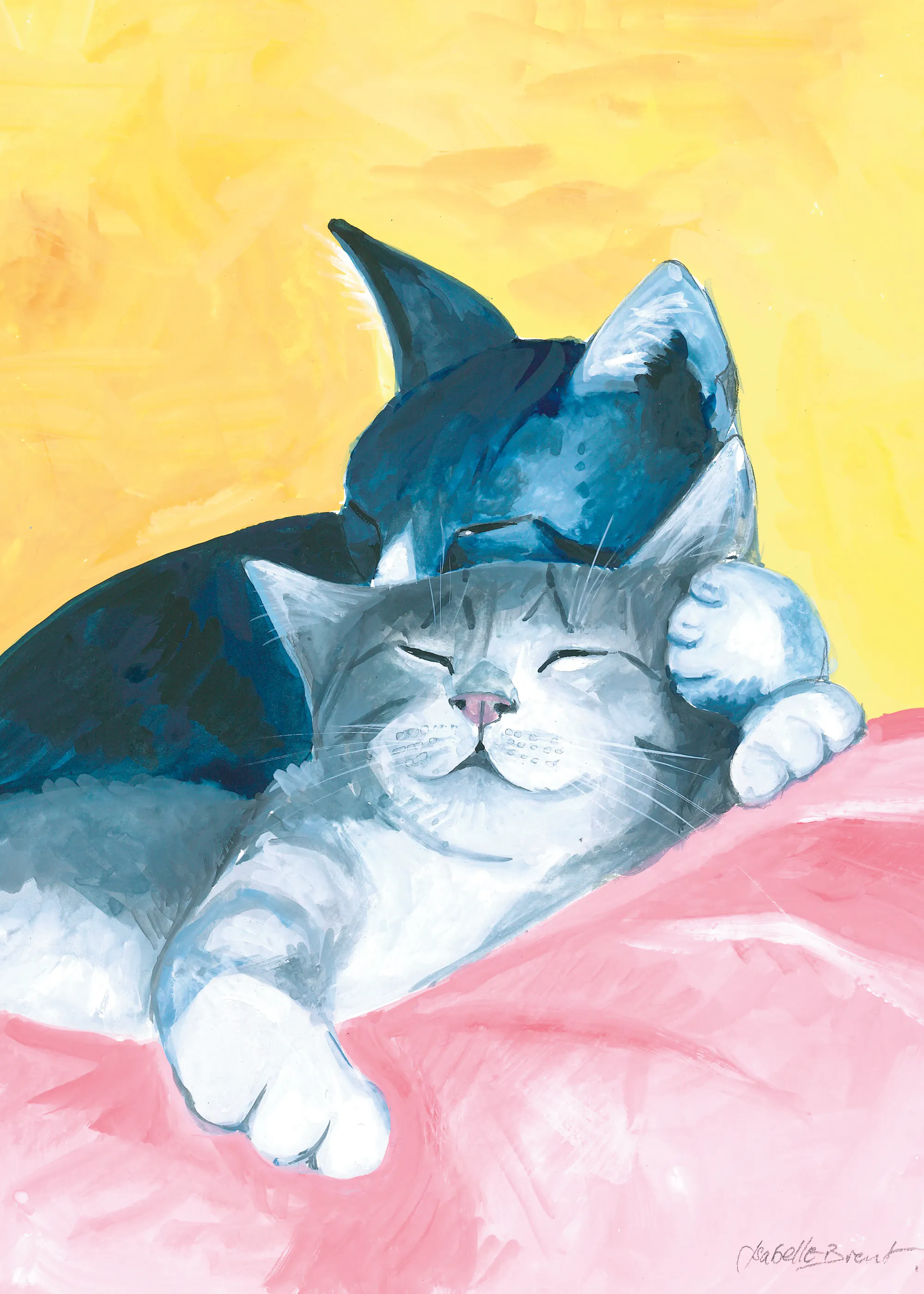 Blaues gemütliches Katzennickerchen Poster 0