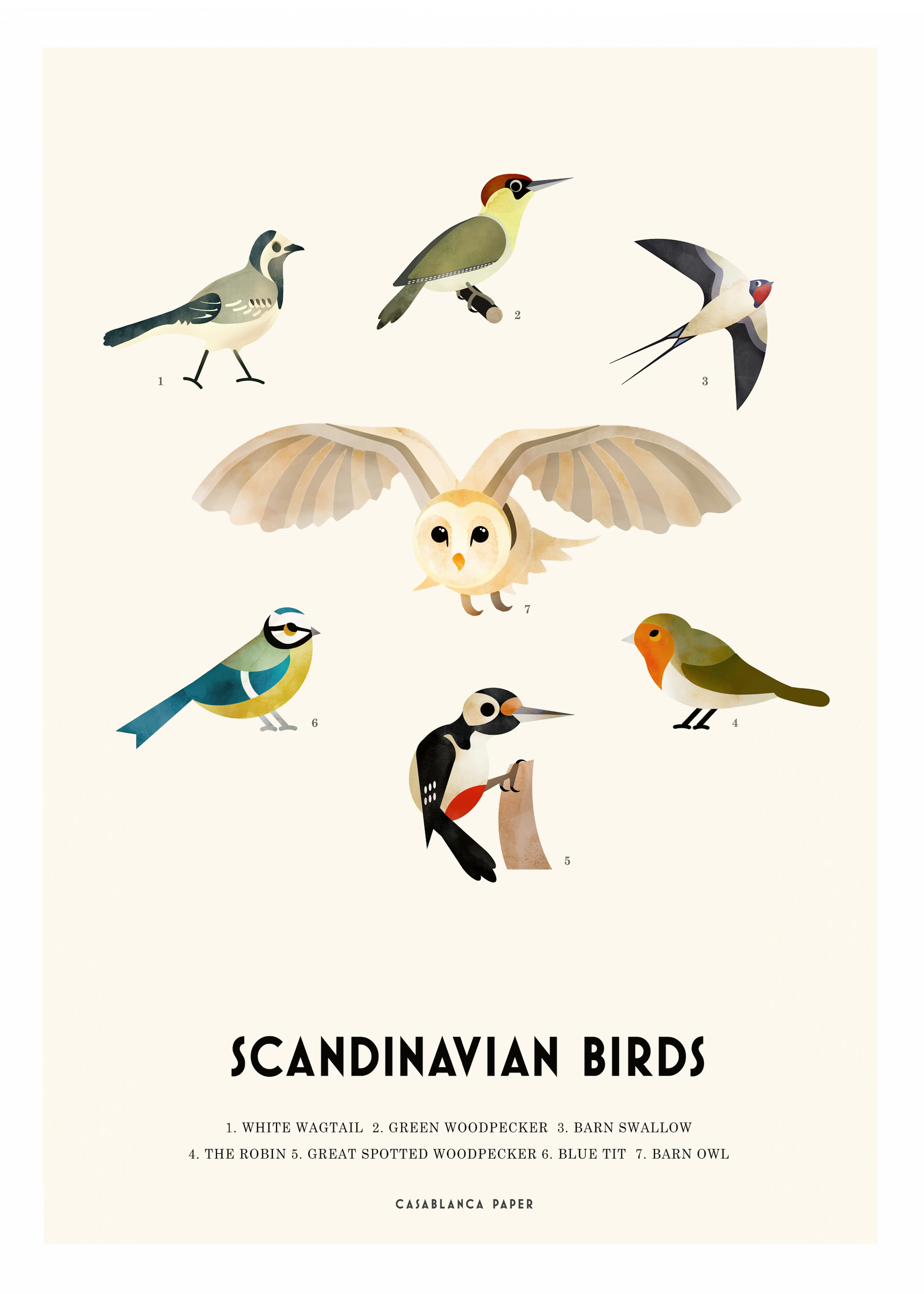 Scandinavische Vogels Poster 0