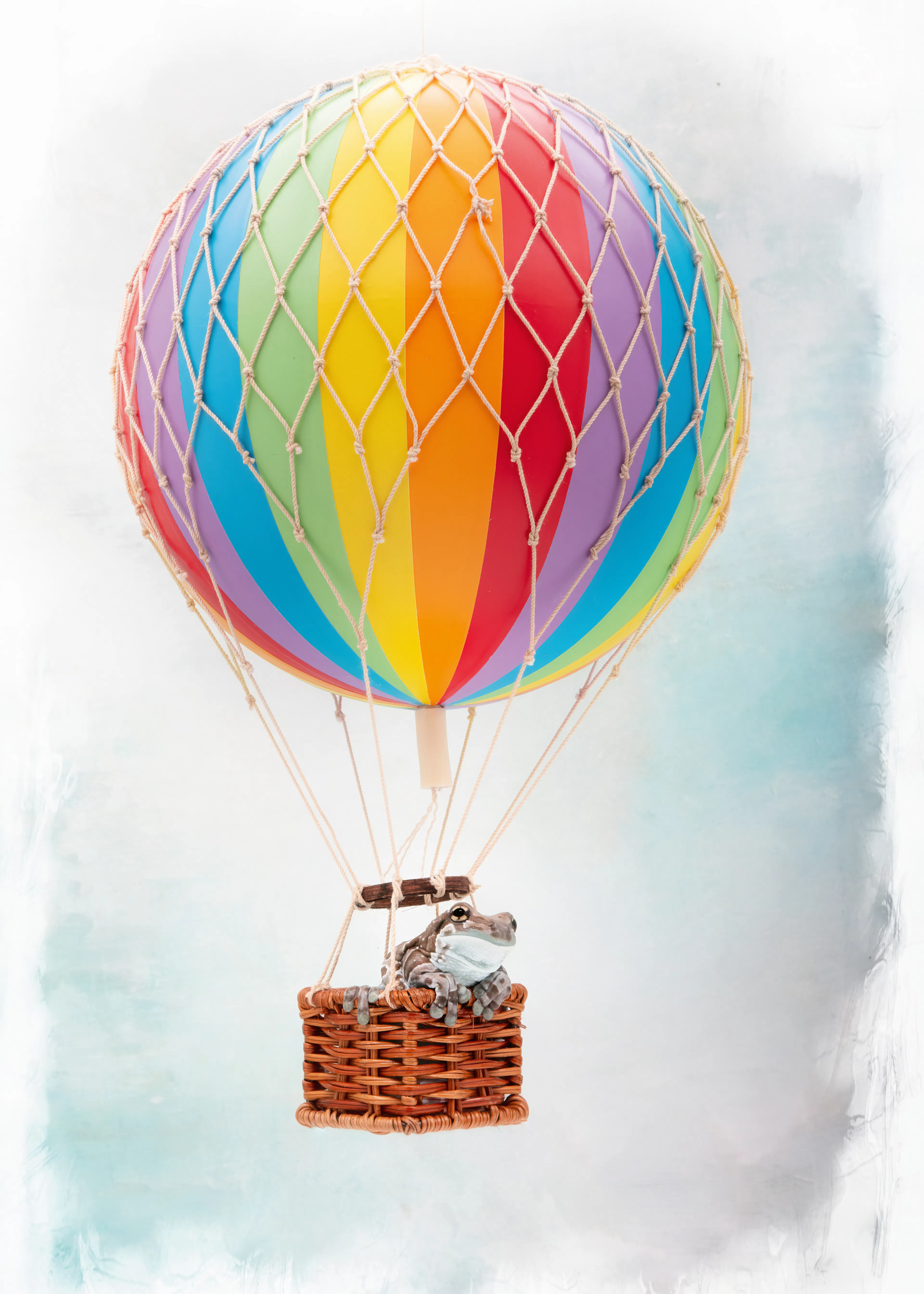 Kleurrijke Luchtballon Poster 0