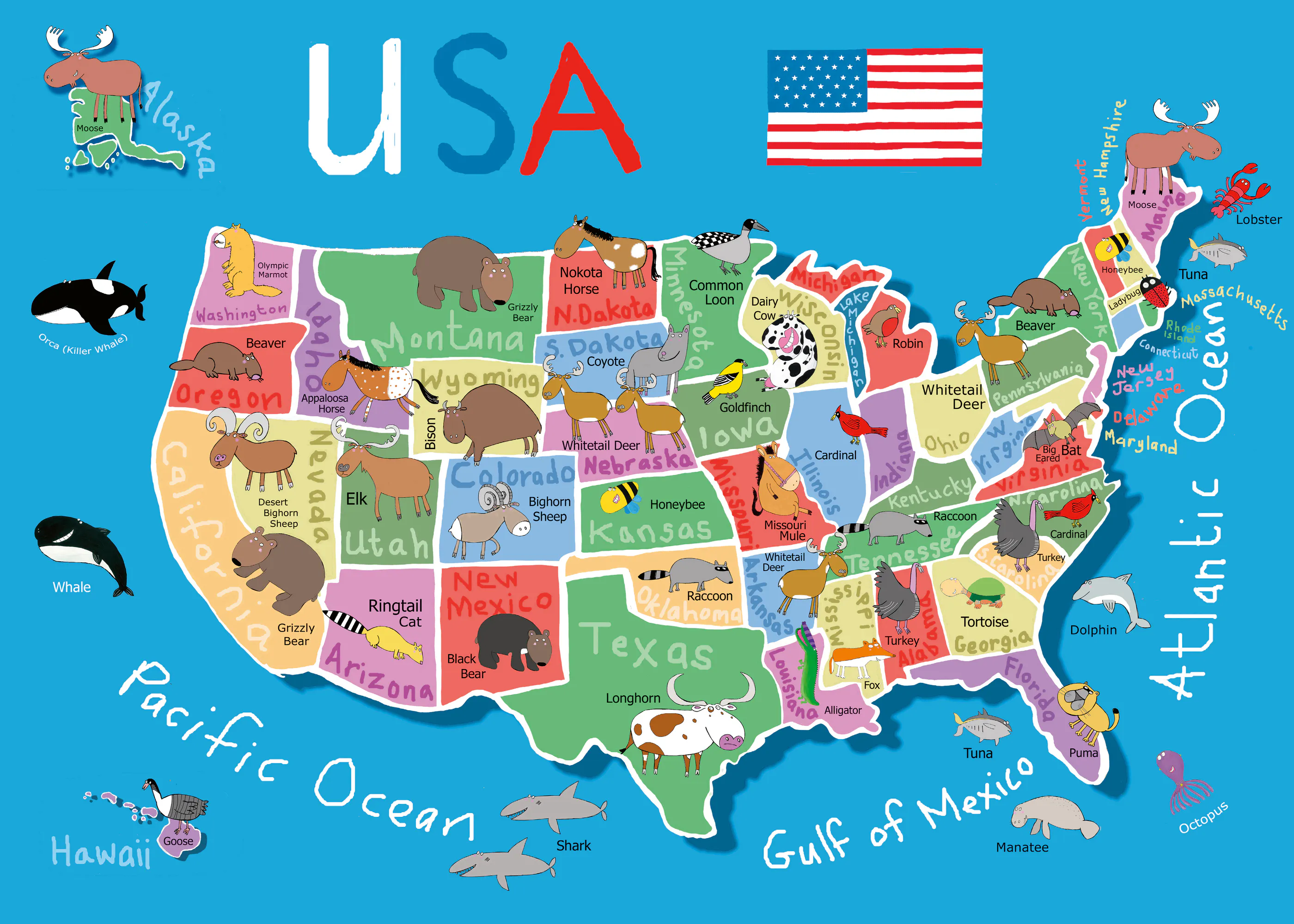 Usa Map Poster 0