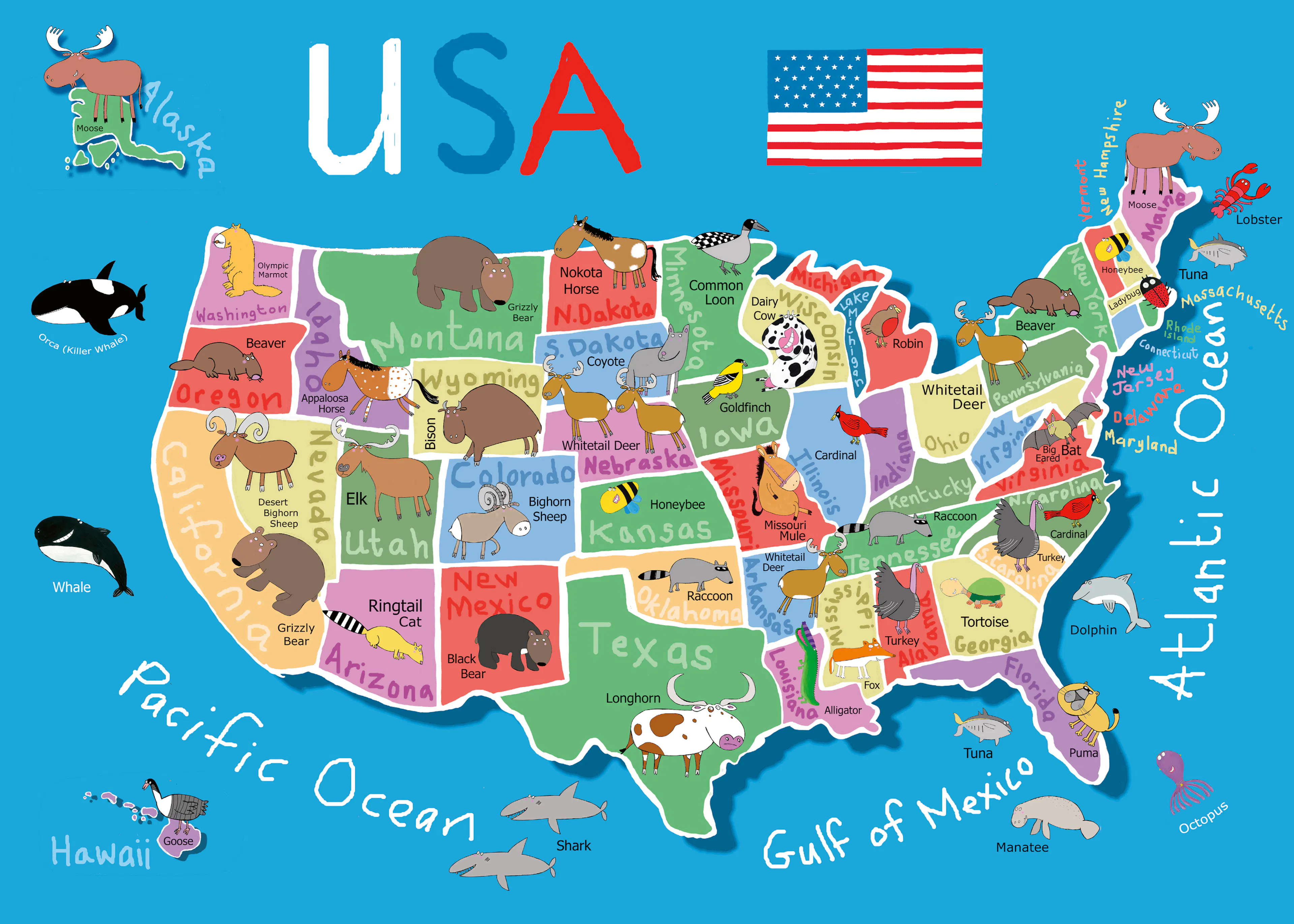 Usa Map Poster 0