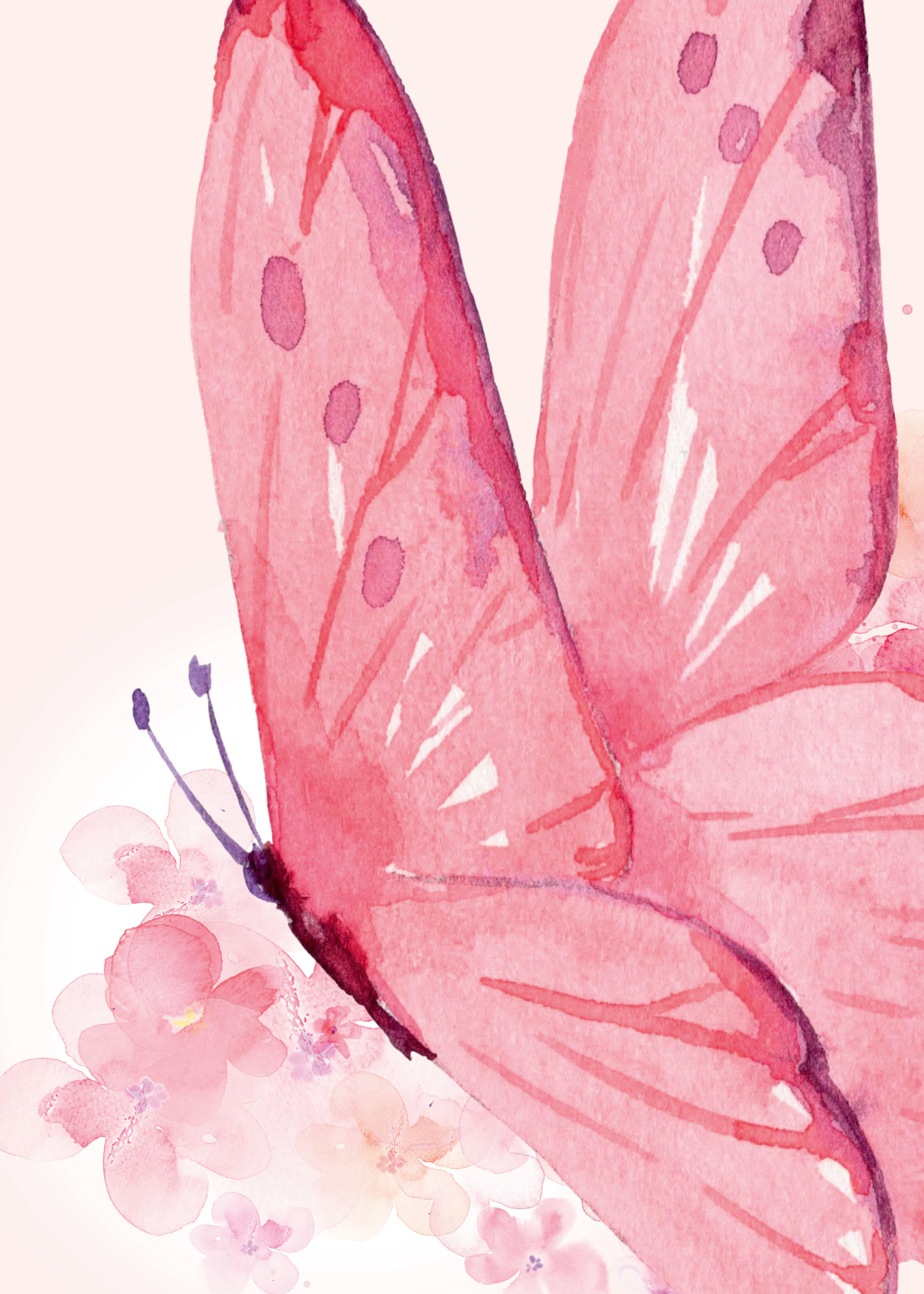 Pink Butterfly Poster 0