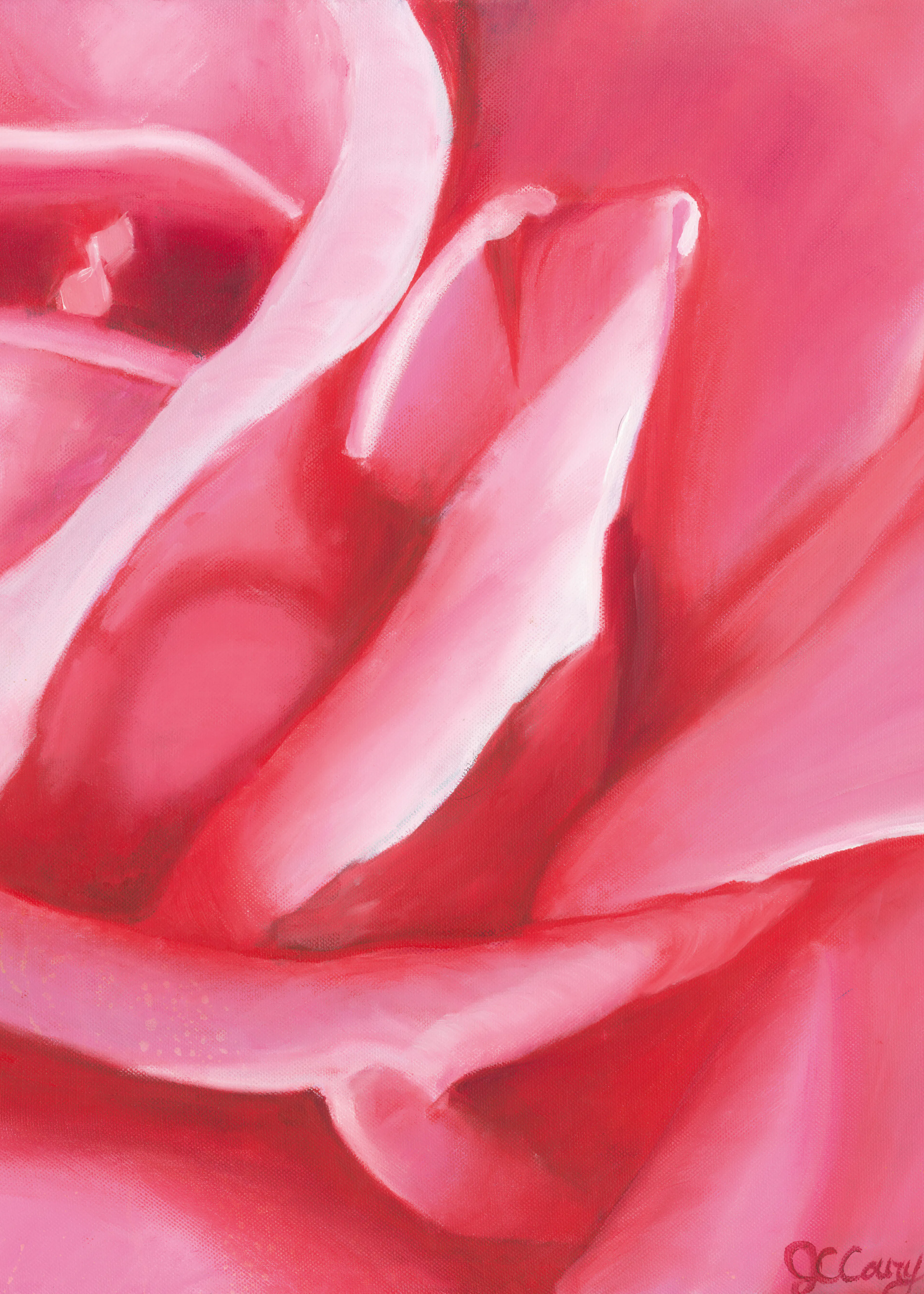 Zachte Roze Bloemblaadjes Poster 0