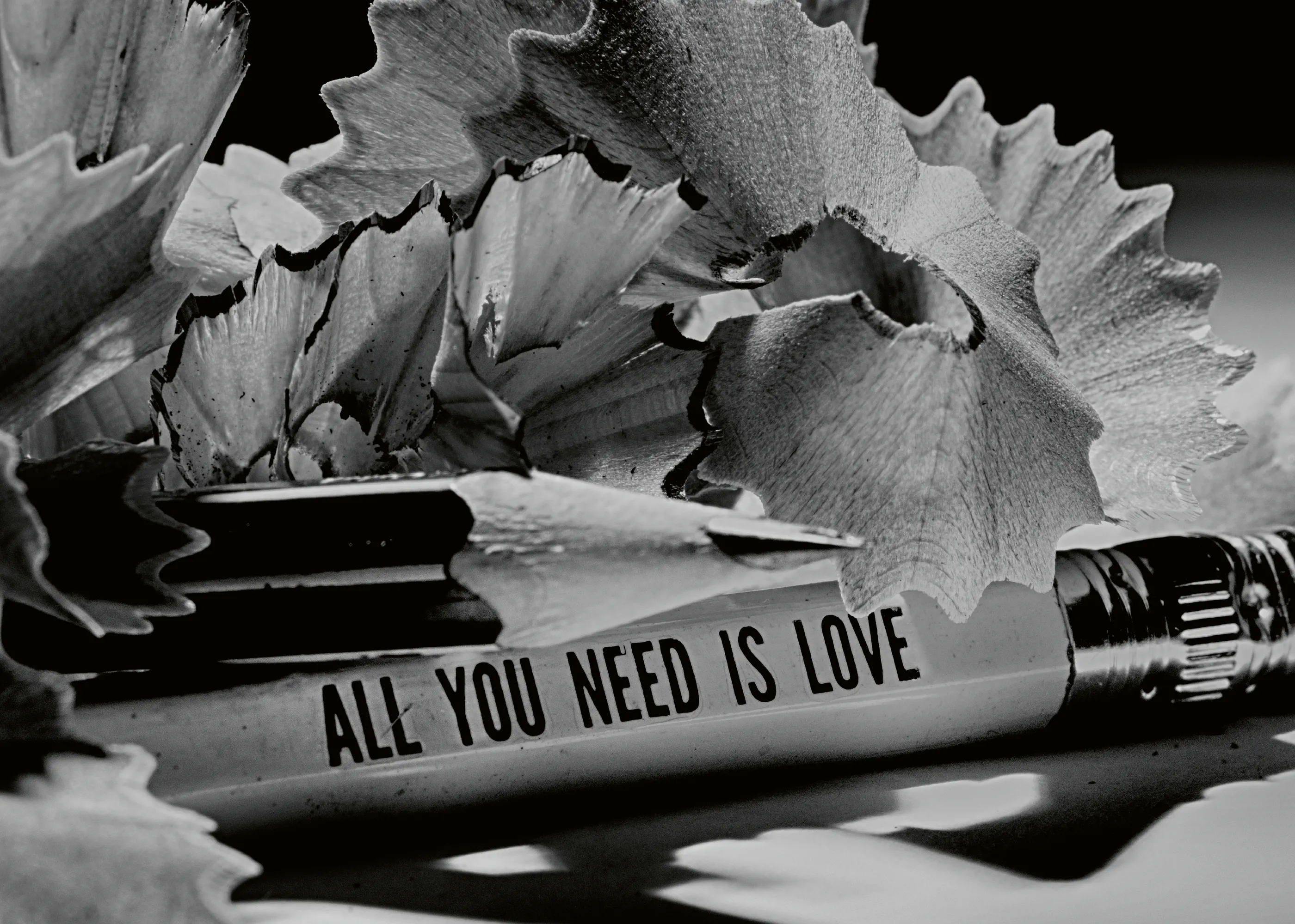 Black All You Need Is Love Poster 0