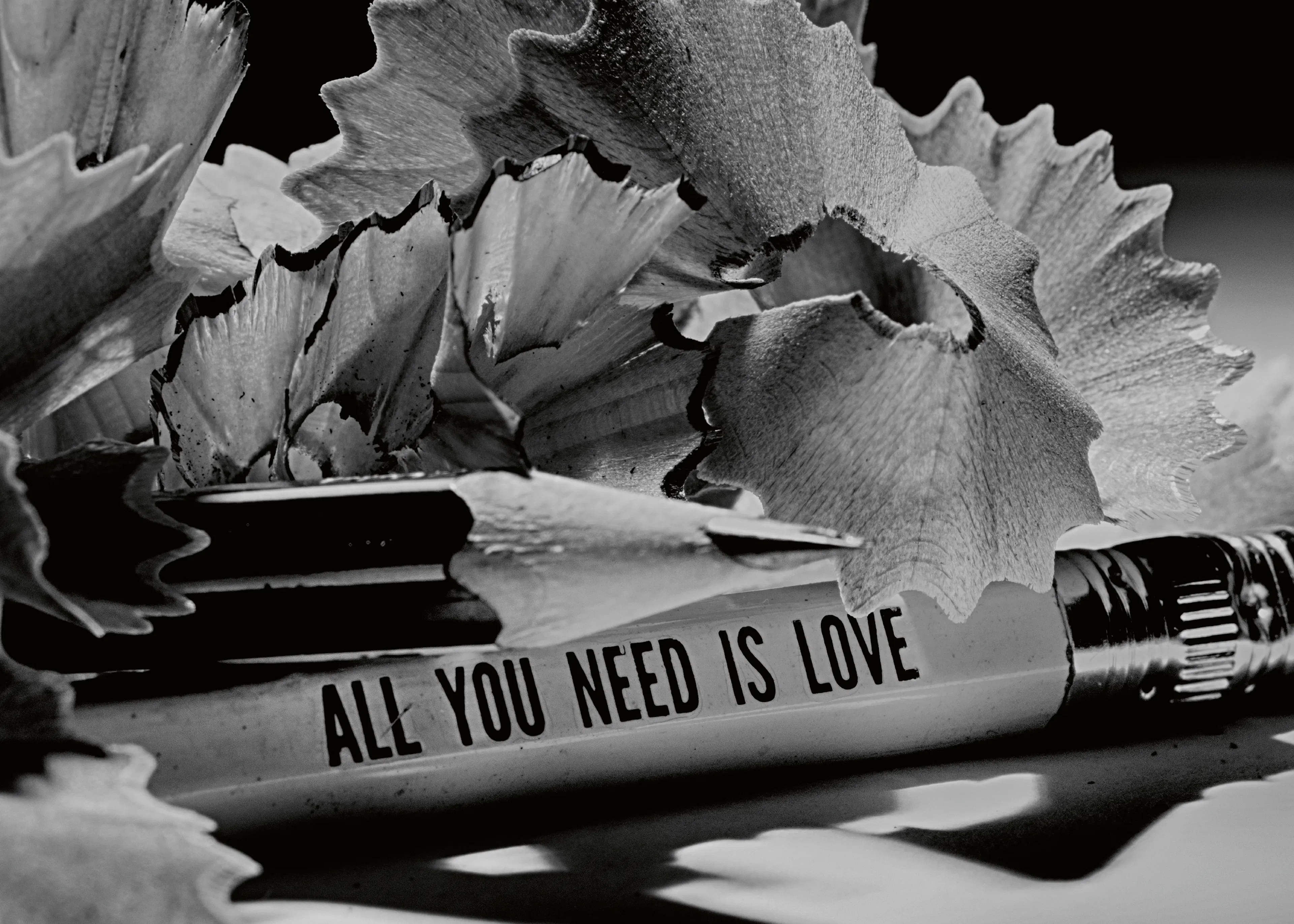 Zwart All You Need Is Love Poster 0
