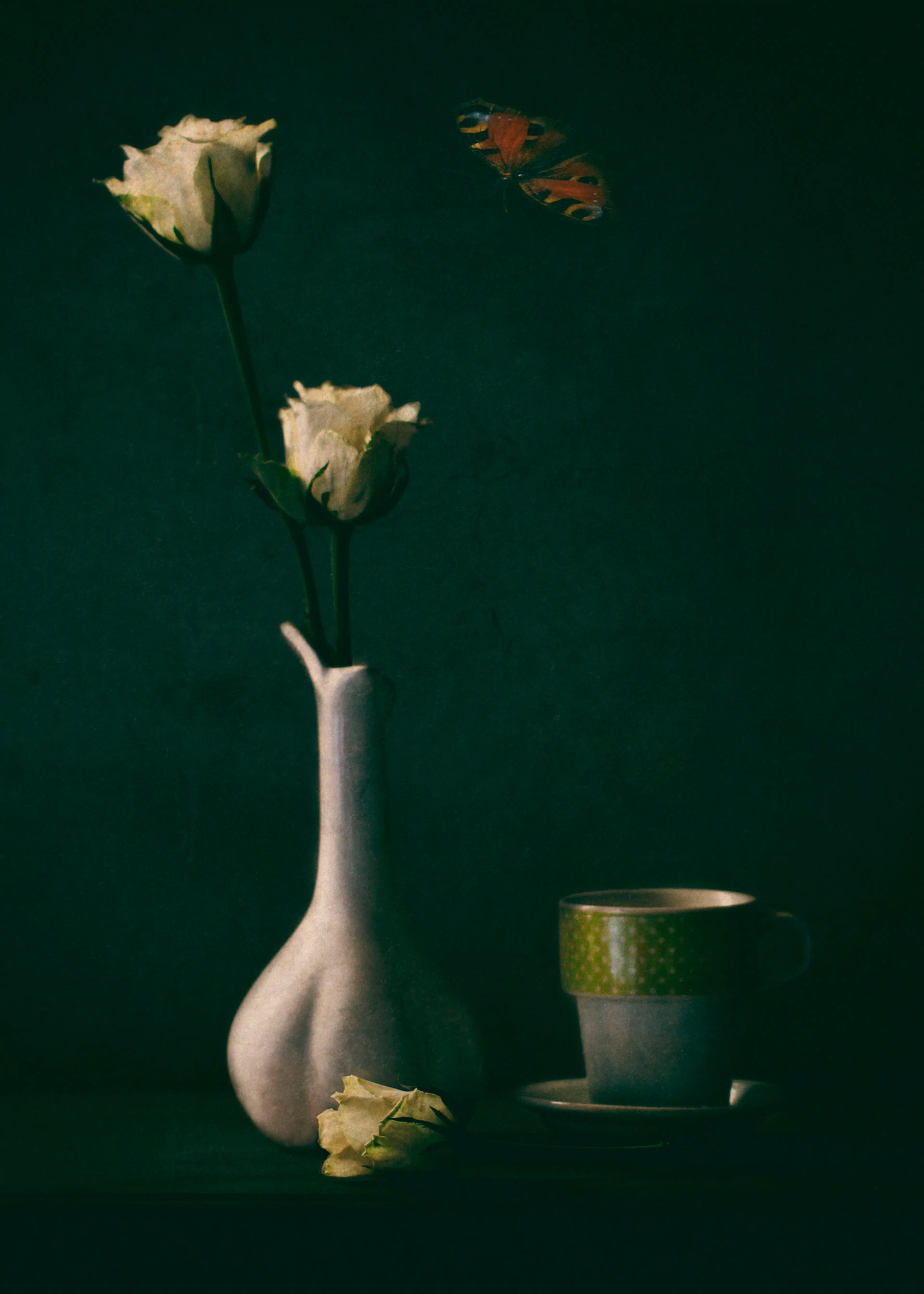 Serene Stillness Poster 0