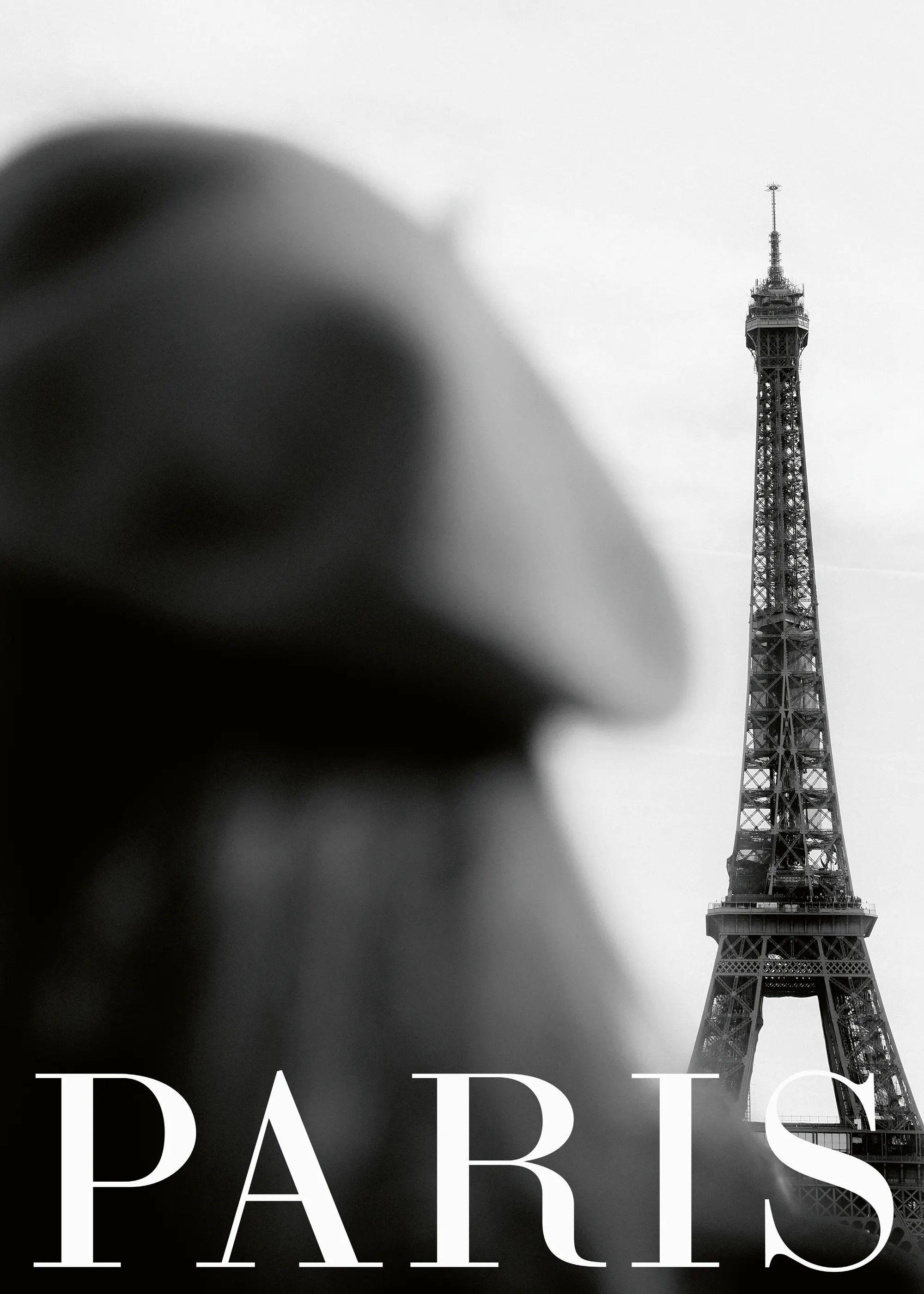 Black Paris Elegance Poster 0